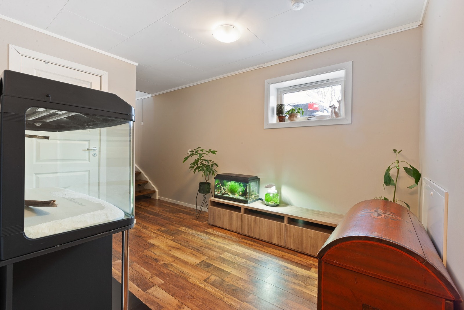 Trappegang Galleribilde