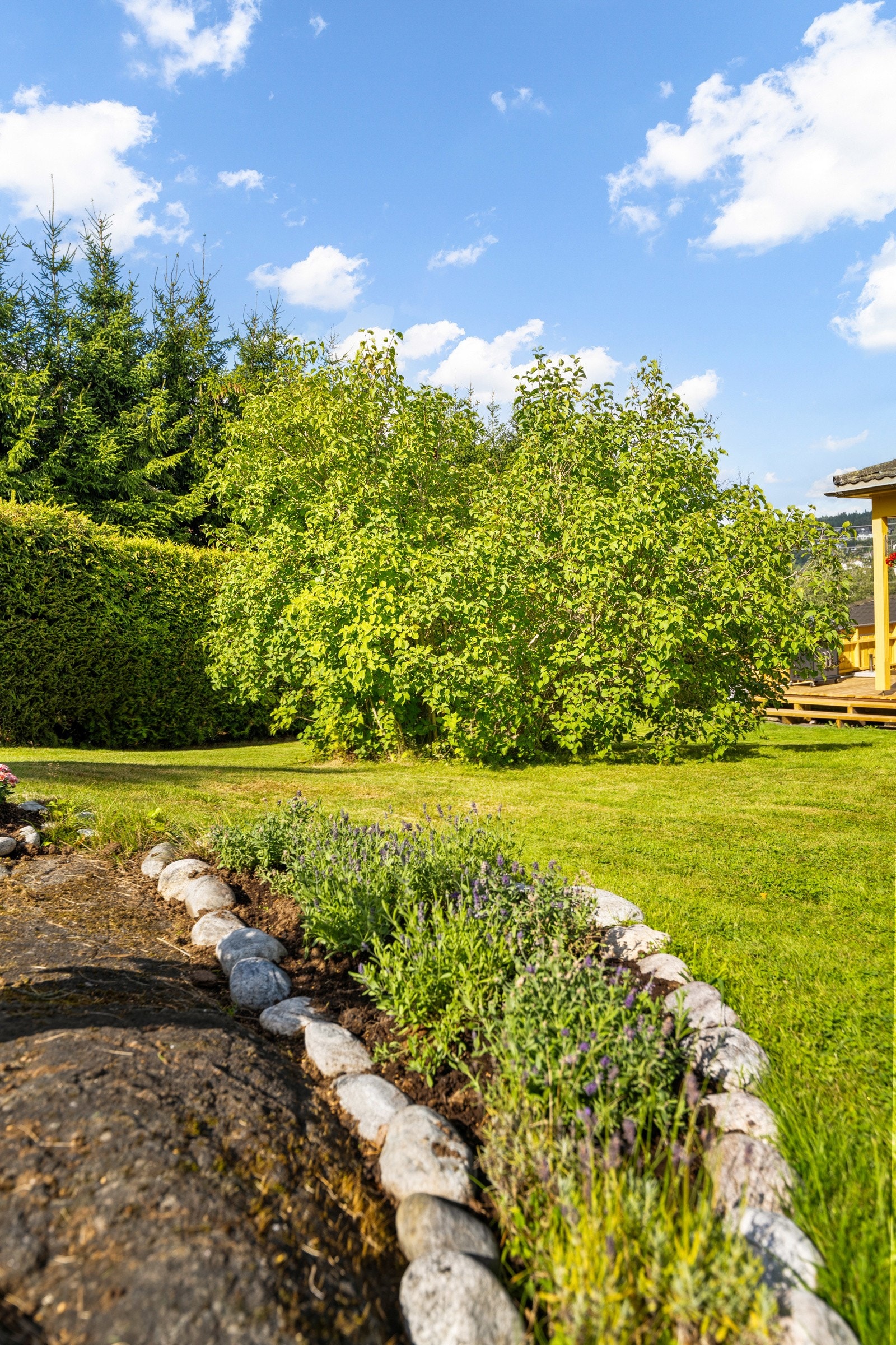 Detaljer av hagen. Galleribilde