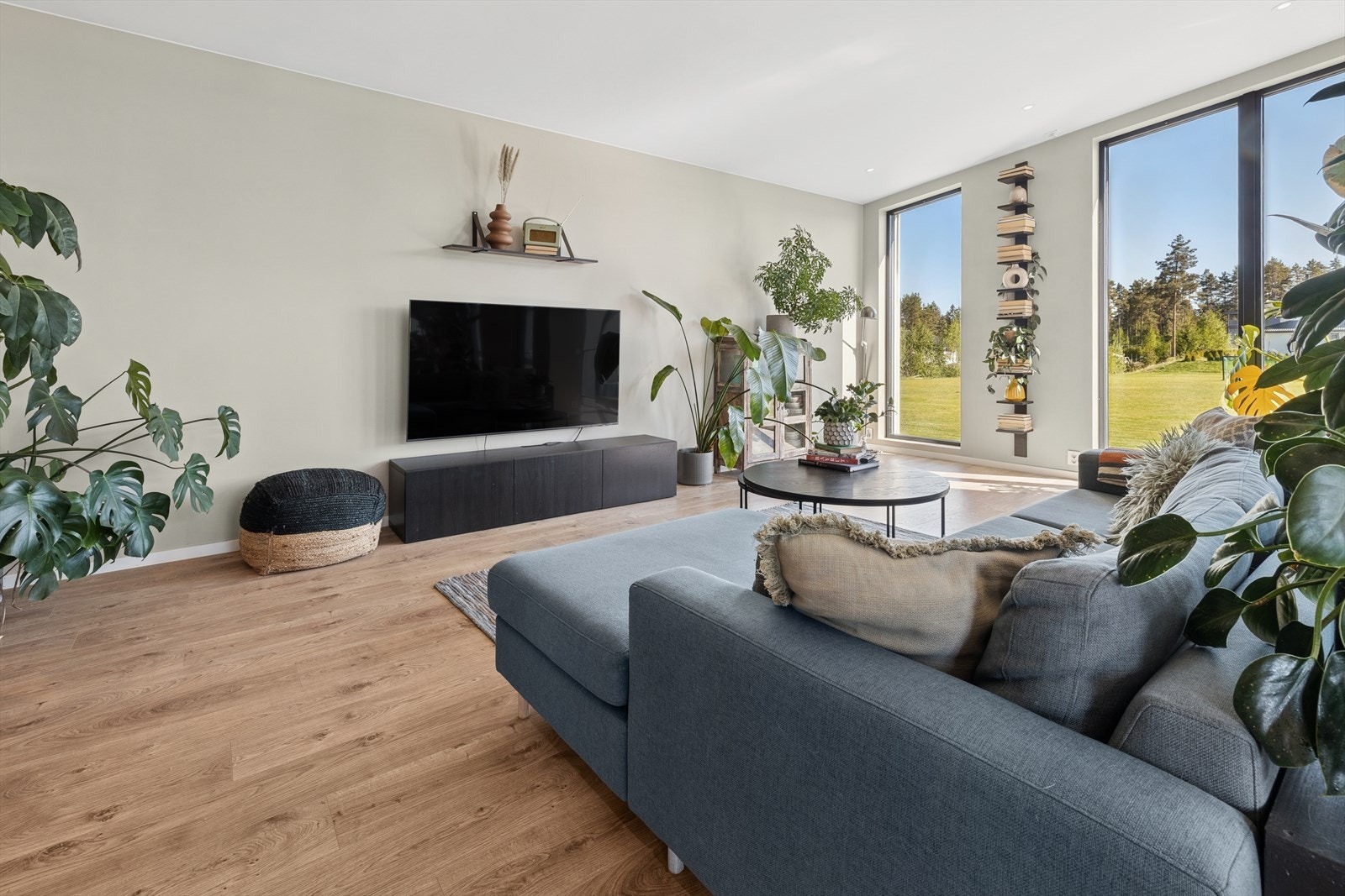 Det er en naturlig sone i stuen for en TV-stue. Galleribilde