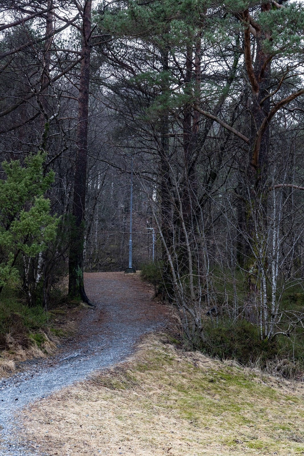 Området byr på flotte turmuligheter i variert natur. Populære turmål i nærheten er Hjortlandsfjellet, Storesåta, Rollandsfjellet og Veten, som alle tilbyr flotte muligheter for rekreasjon og naturopplevelser året rundt! Galleribilde