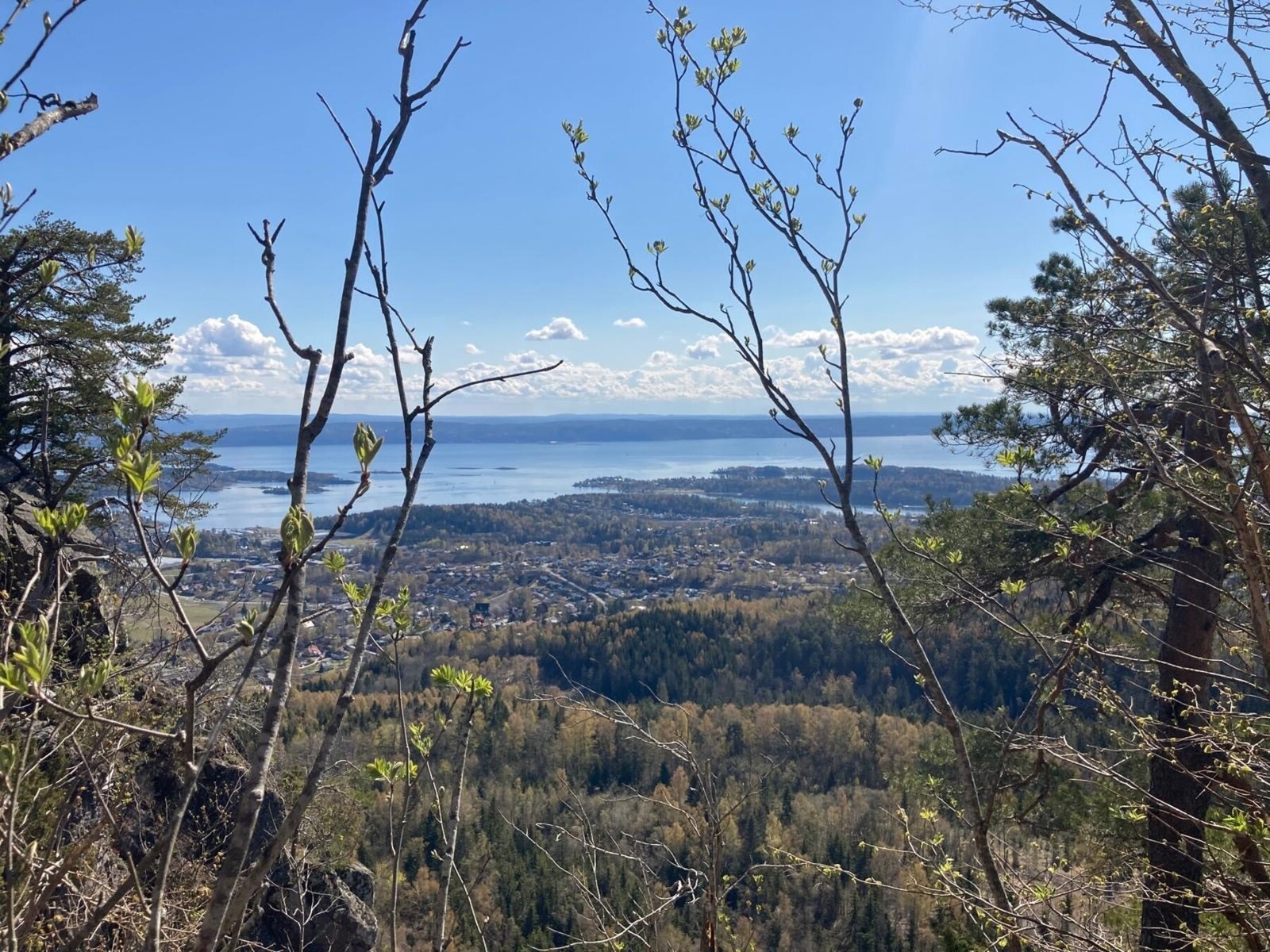 Fra eiendommen er det ca. 3 minutters gange til marka med stier som tar deg bl.a. til toppen av Skaugumsåsen (350 m.o.h.) med fantastisk utsikt over store deler av Asker og Bærum, videre inn mot Oslo samt Oslofjorden og over til Nesoddlandet. Galleribilde