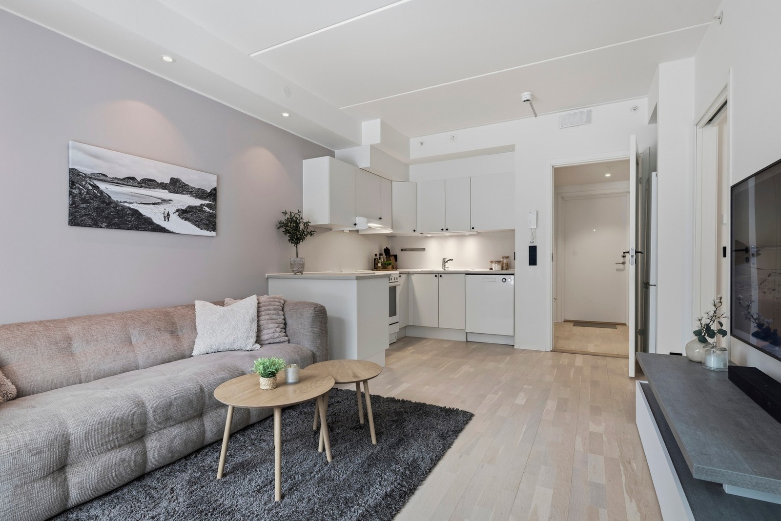 Stue/Kjøkken Galleribilde