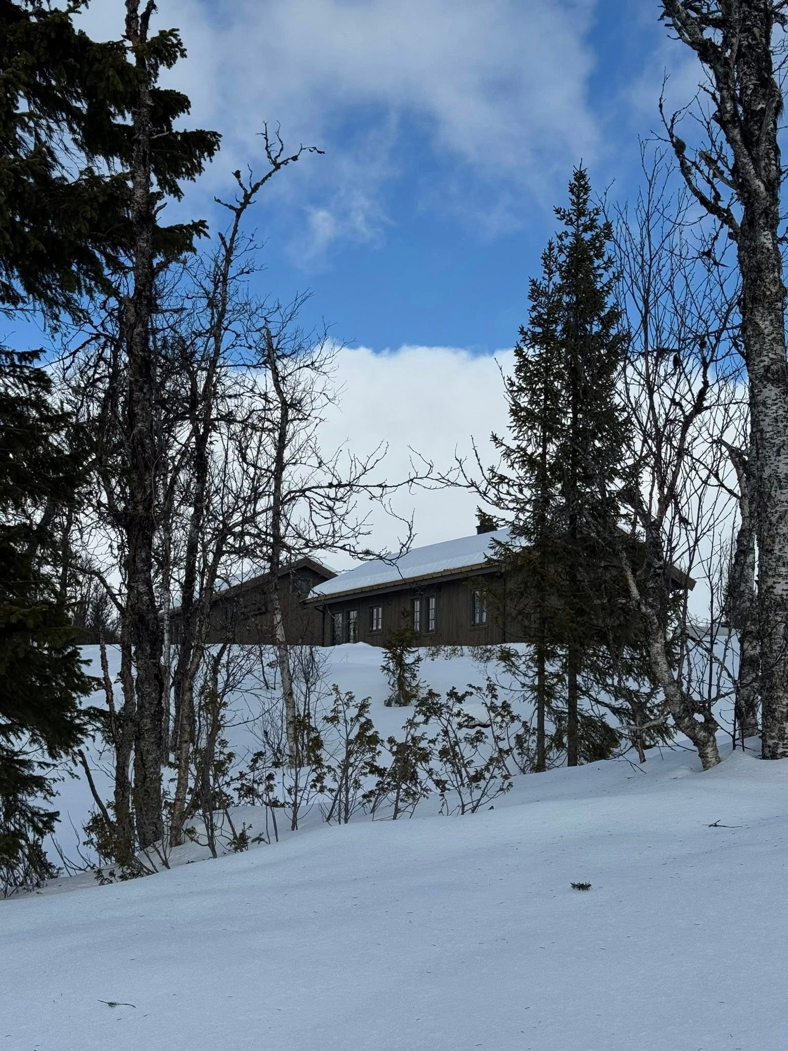 Utvendig fasade -Foto av den aktuelle hyttemodellen. Galleribilde