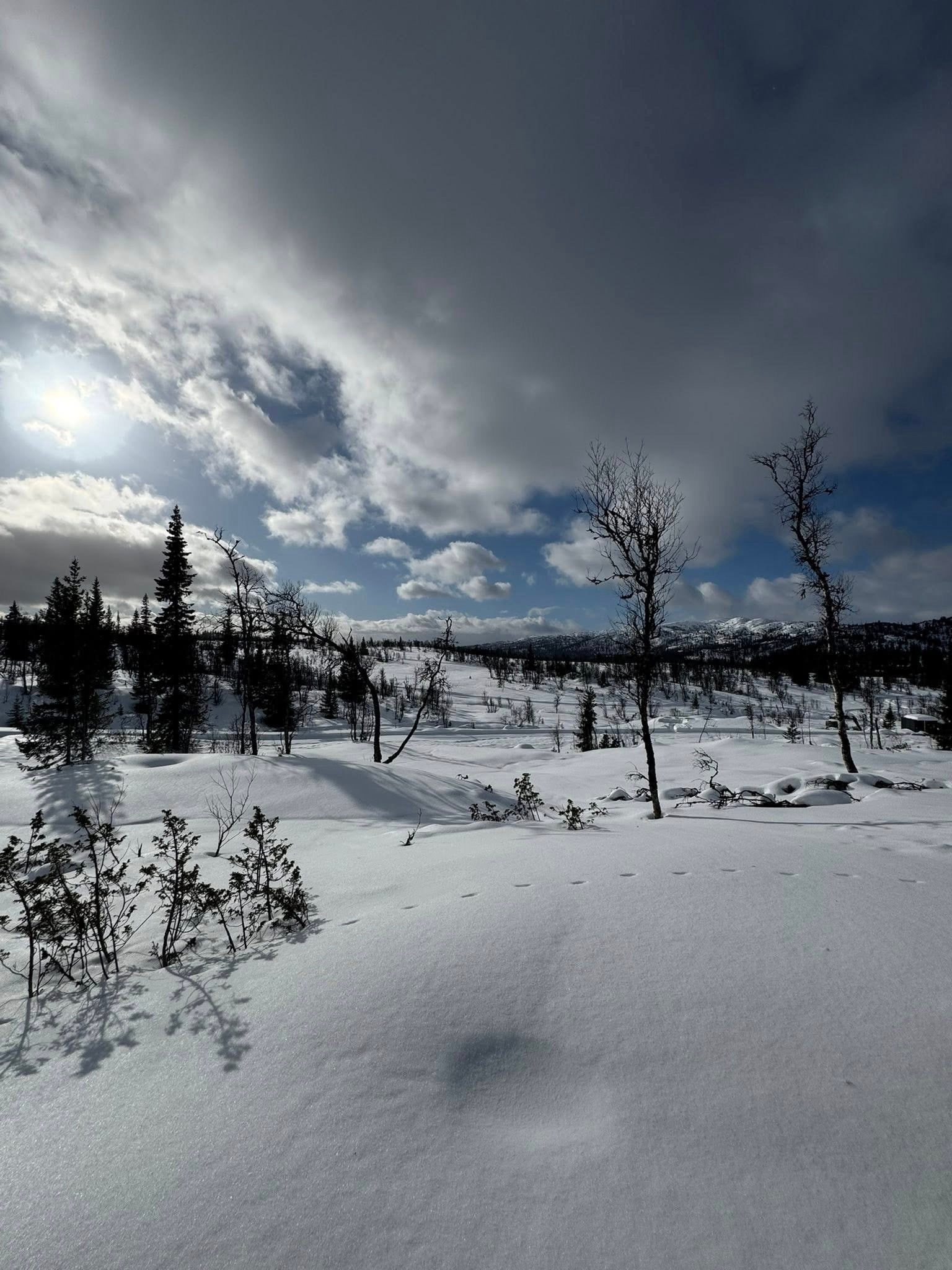 Nydelig utsikt fra den aktuelle hyttemodellen Galleribilde