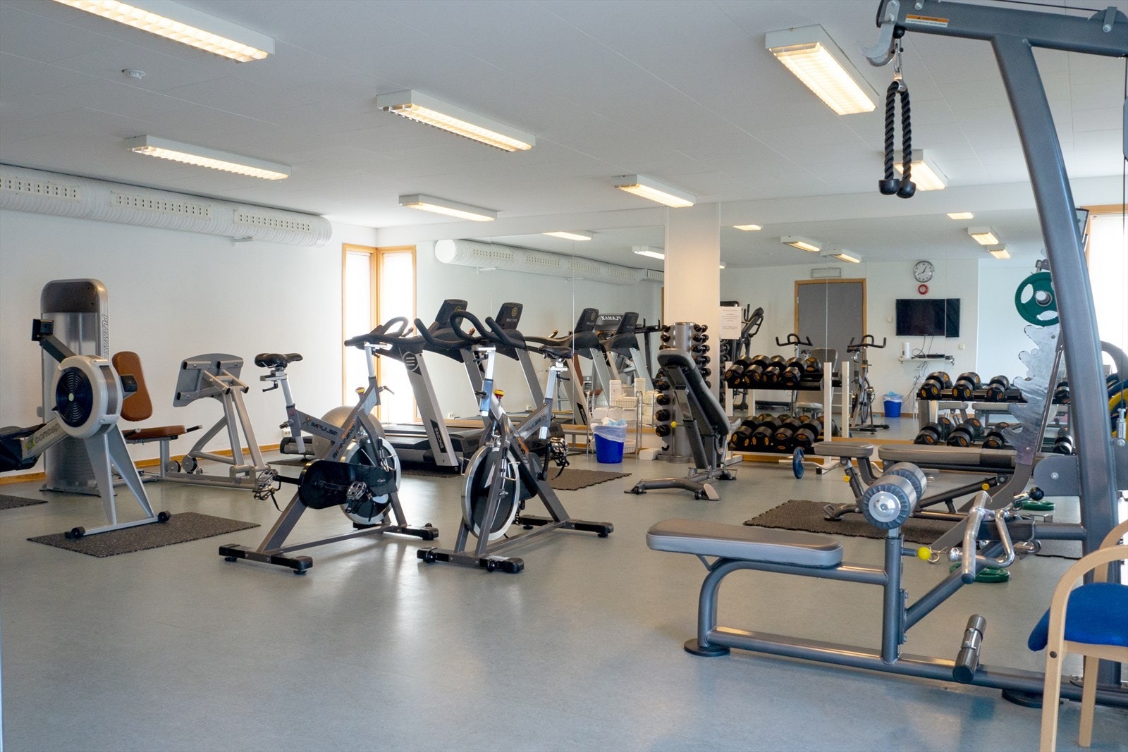 Borettslaget har også eget trimrom med tredemøller, sykler, elipsemaskin, romaskin og annet utstyr. Pris for bruk er kr 1000 per år. Galleribilde