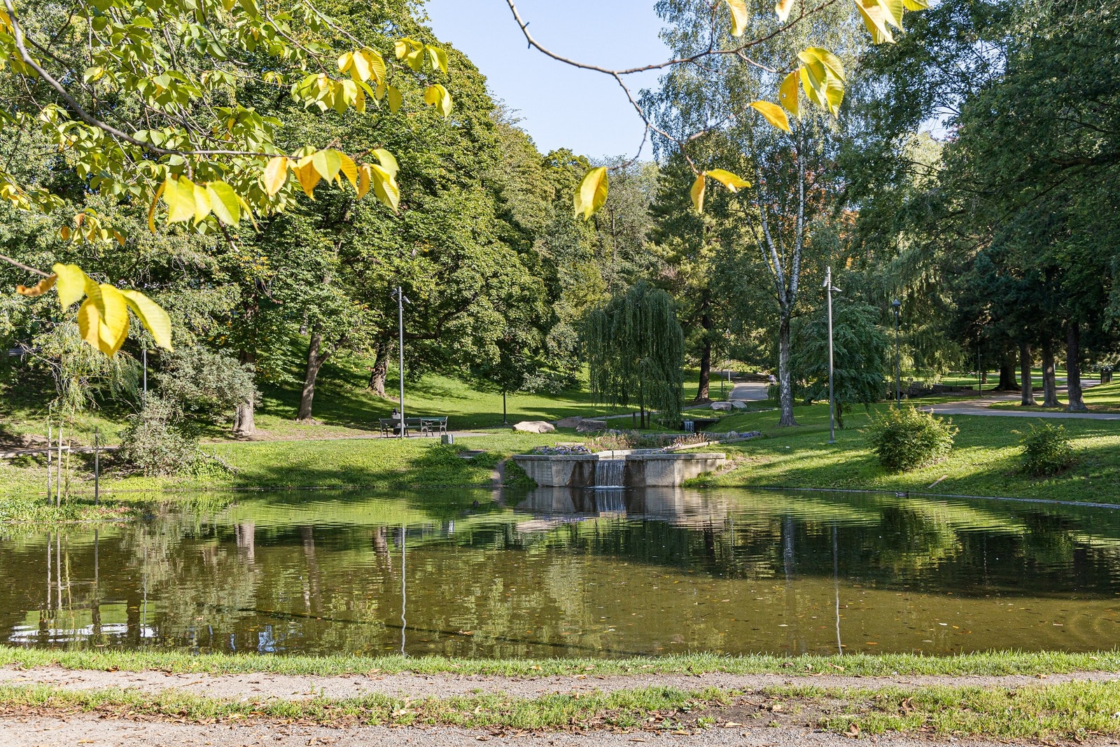 St.Hanshaugen park er rett ved, og er helt topp om du vil jogge eller helst spise softis. Galleribilde