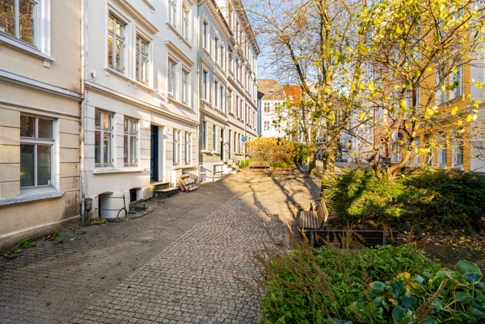 Frodig og fint i området. Galleribilde