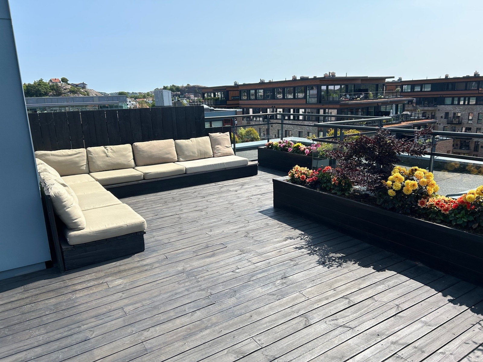 Mine utemiljøer på takterrassen Galleribilde