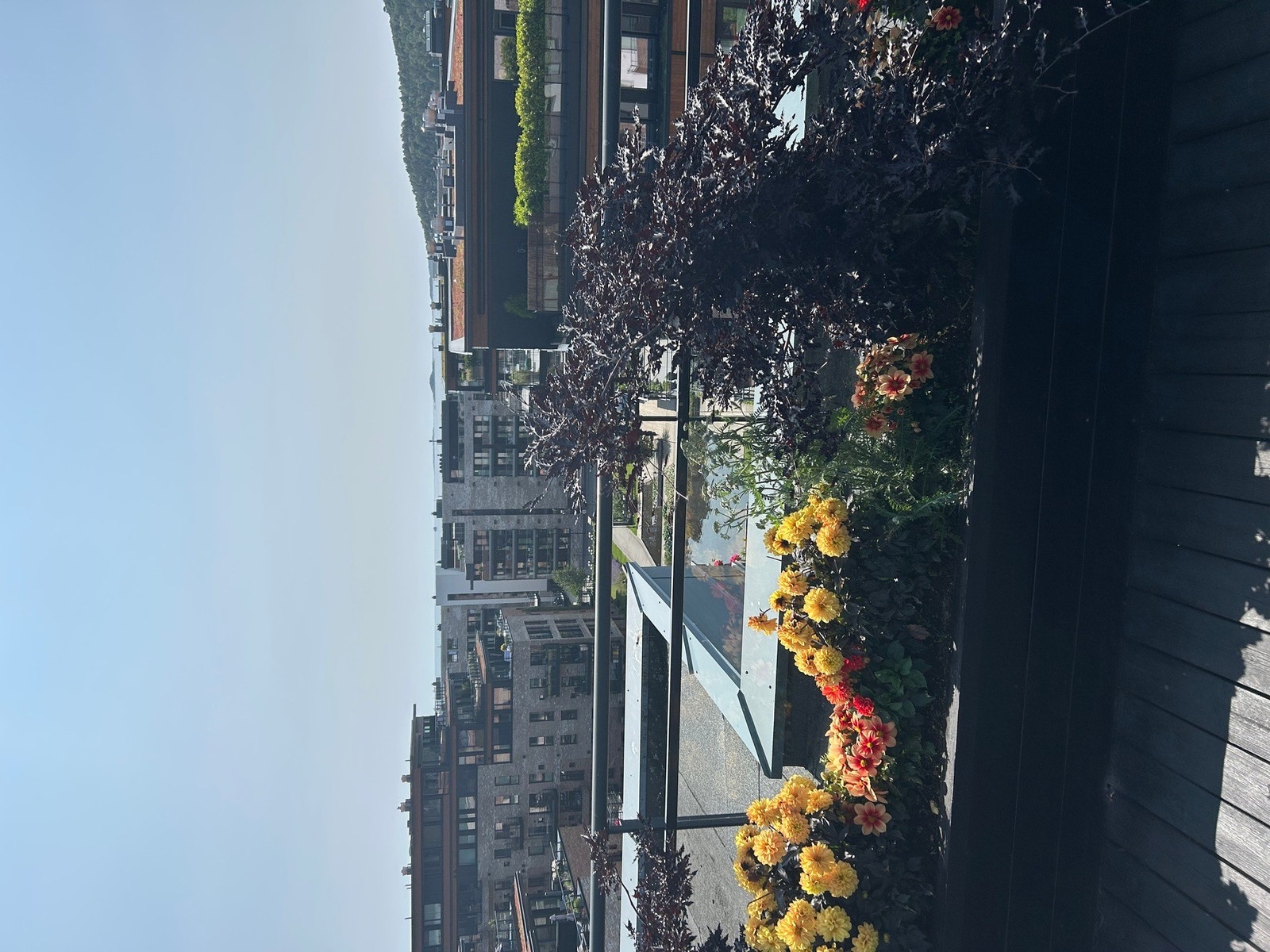 Fra takterrassen Galleribilde