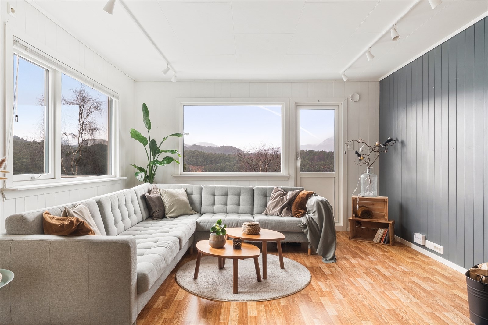 Nydelig utsikt fra egen sofakrok Galleribilde