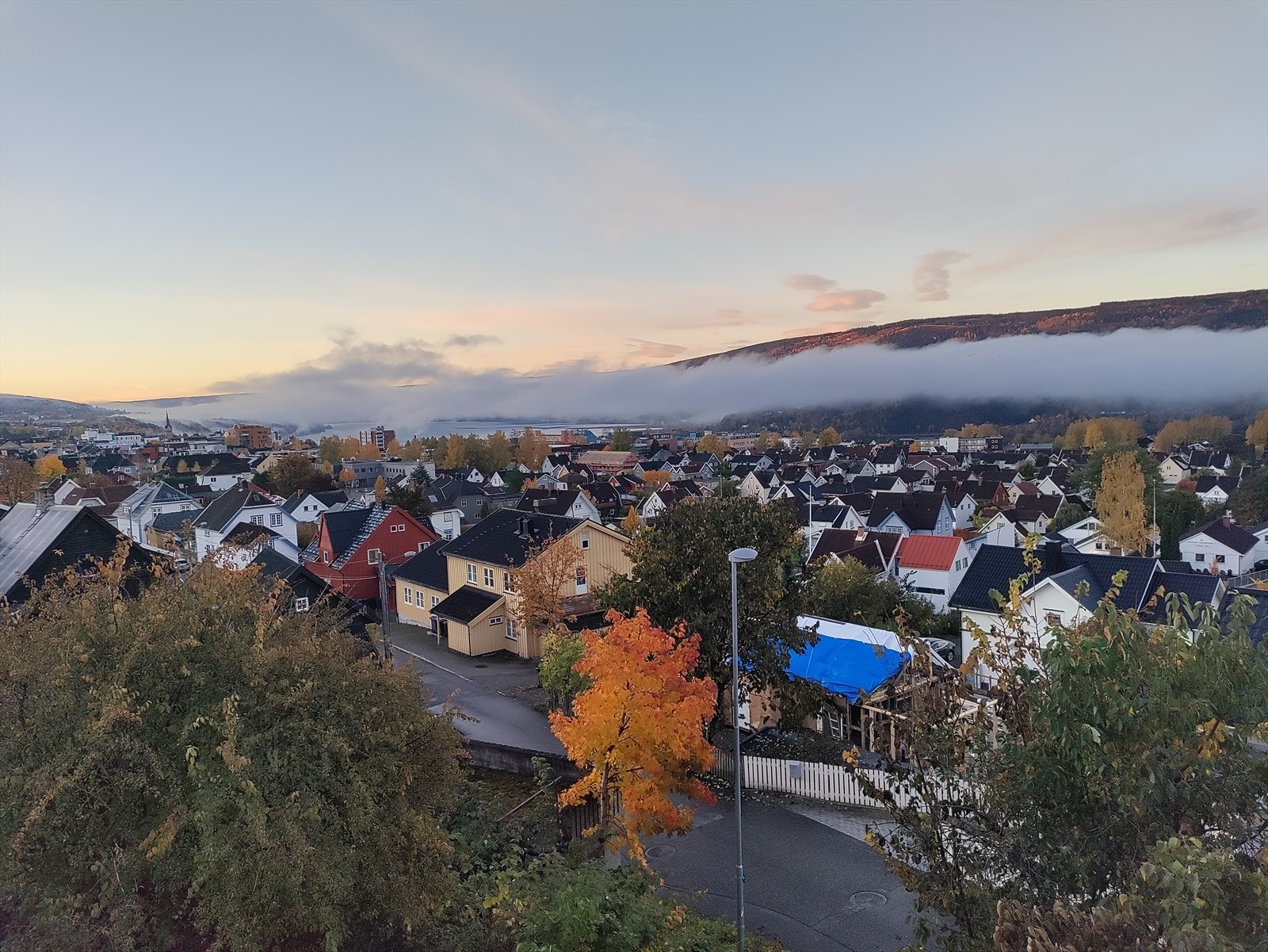 Flott utsikt over nærområdet. Galleribilde