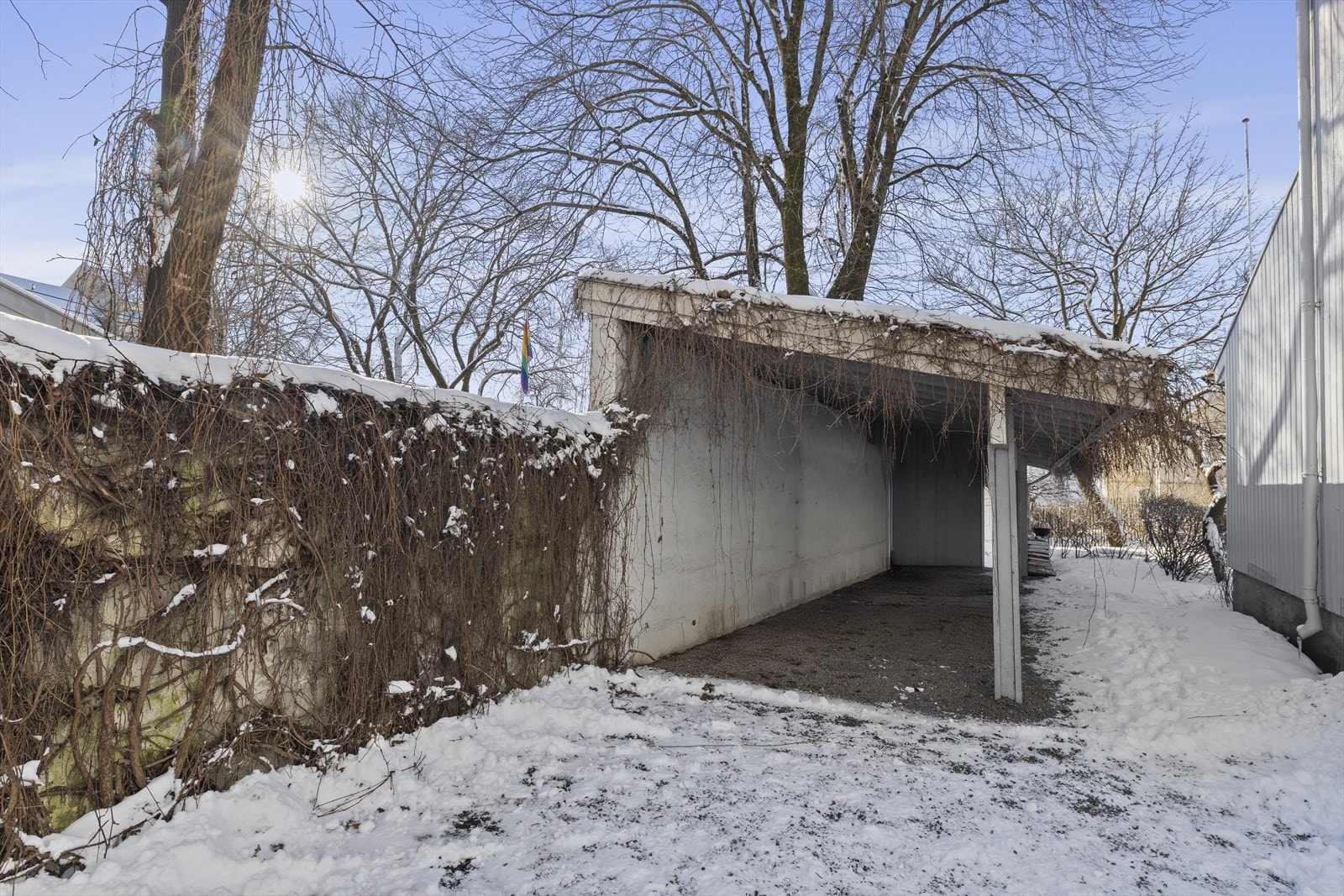 Gårdsplass med carport. Galleribilde
