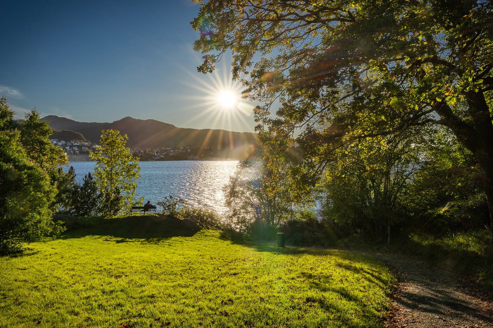 Nordnesparken en liten spasertur unna. Galleribilde