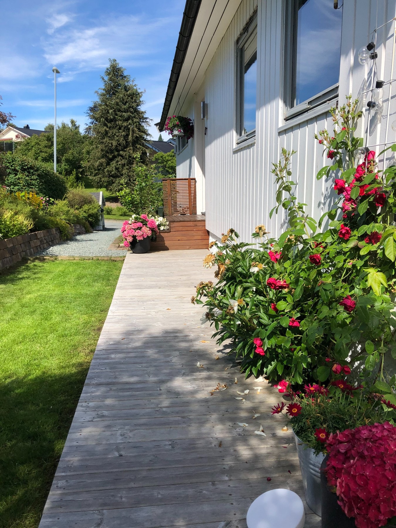 Flott og frodig hage, tatt av selger på sommerstid. Galleribilde