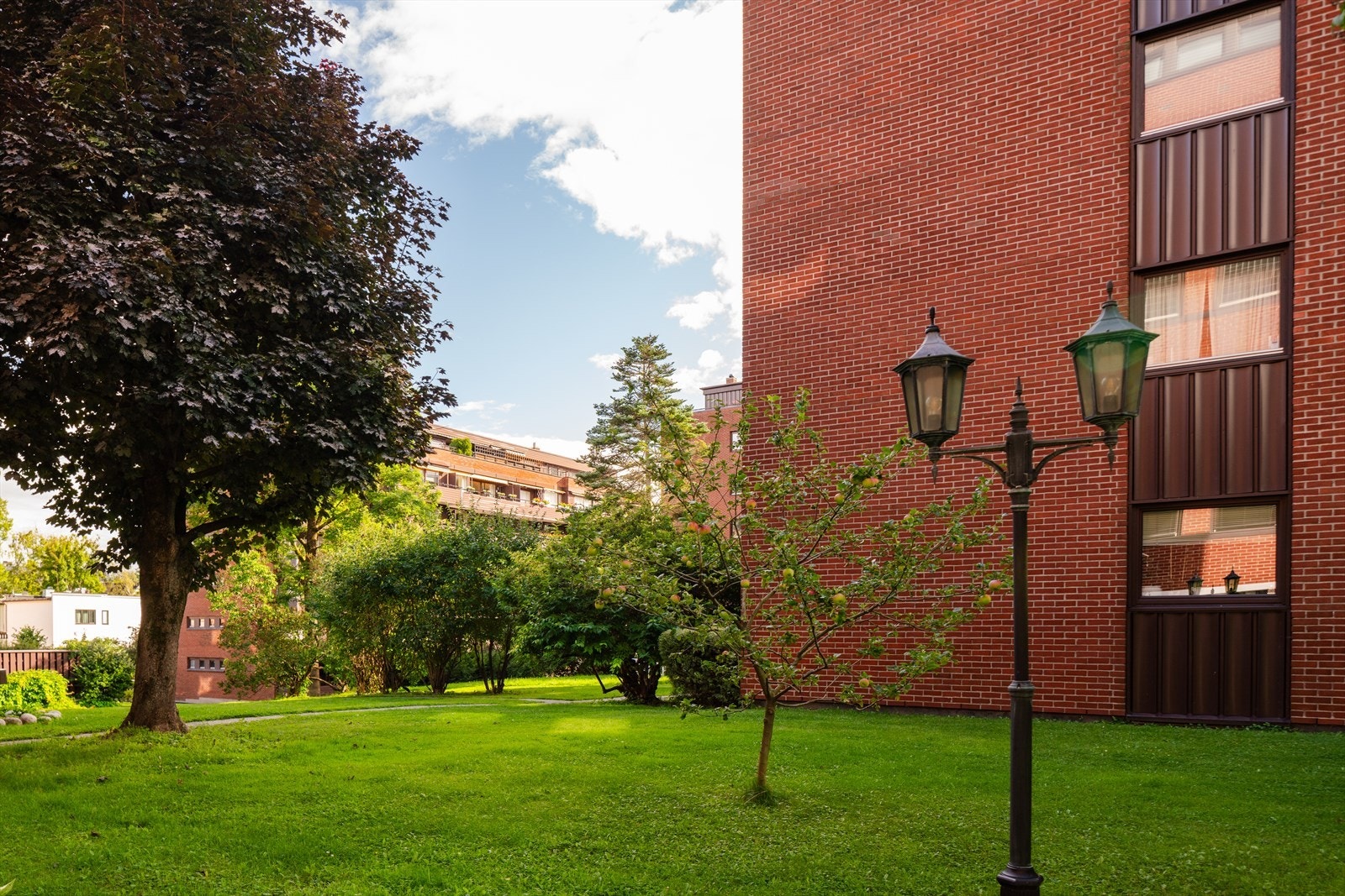 Felles hage med gressplen, beplantning og utemøbler. Gartner som har ansvaret for dette uteområde. Galleribilde