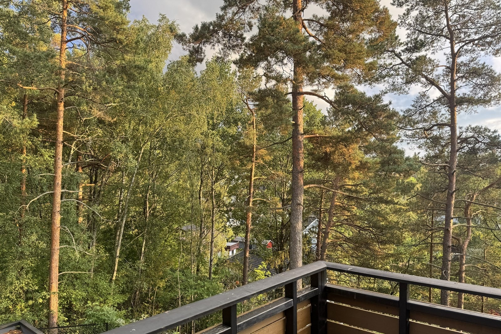 "Det er digg å kunne ta på joggeskoene på dørmatta og springe rett ut i marka" Sitat selger. Galleribilde