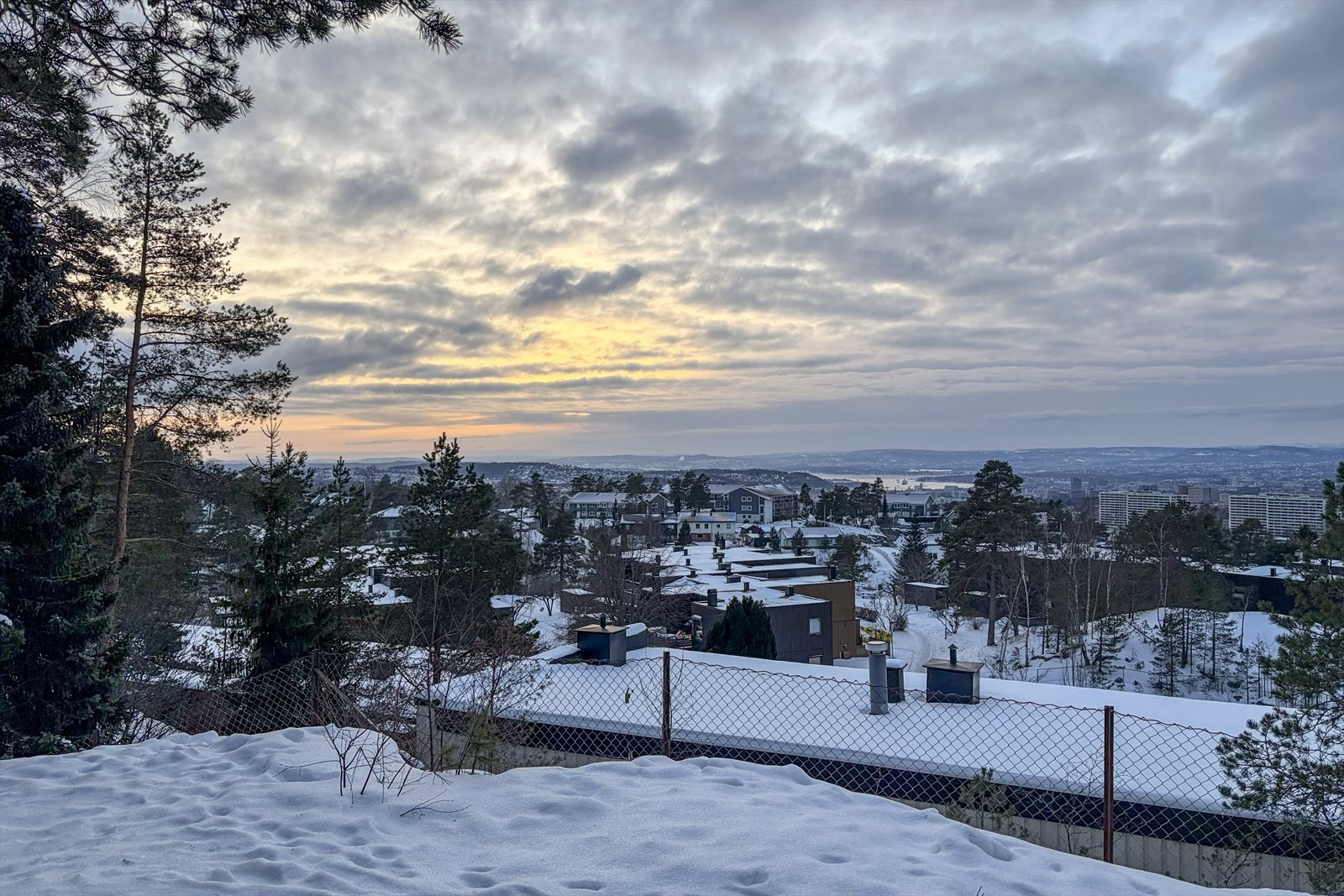 Nærmiljø. Galleribilde