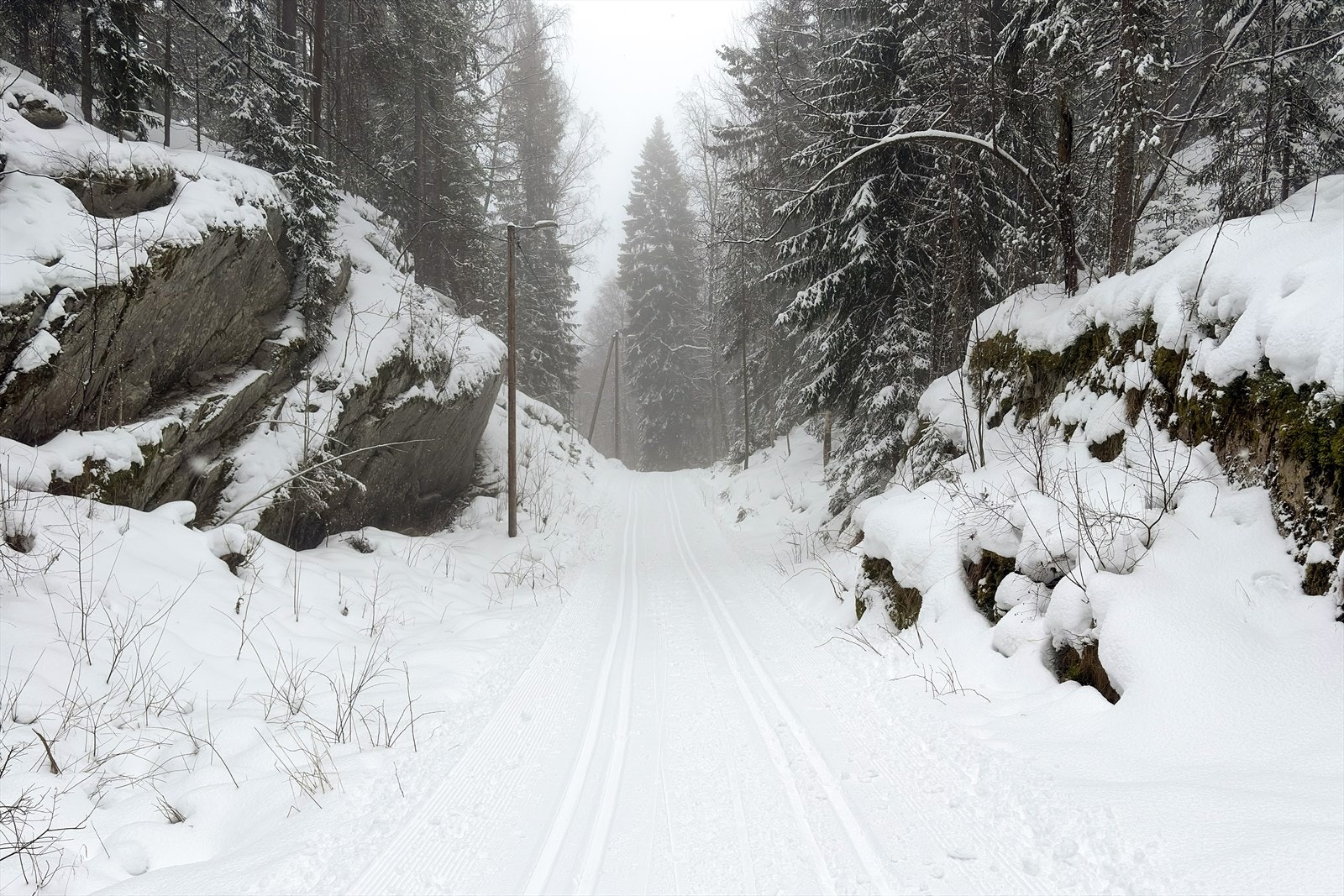 Oppkjørt skiløype med lys drøye 600 m fra huset. Galleribilde