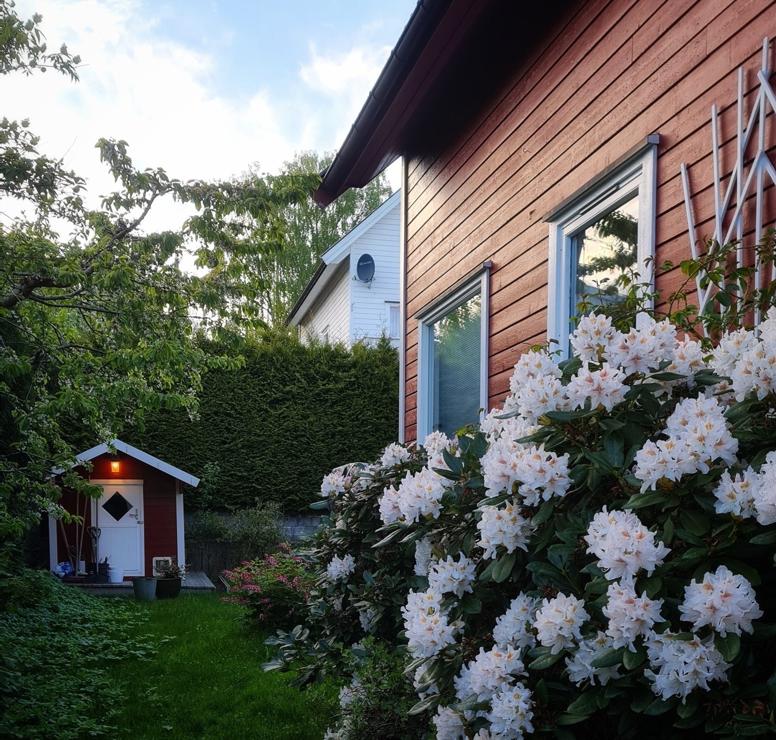 Her får du en pent opparbeidet og frodig hage med vakre planter og et godt utvalg av både frukt og bær. Galleribilde