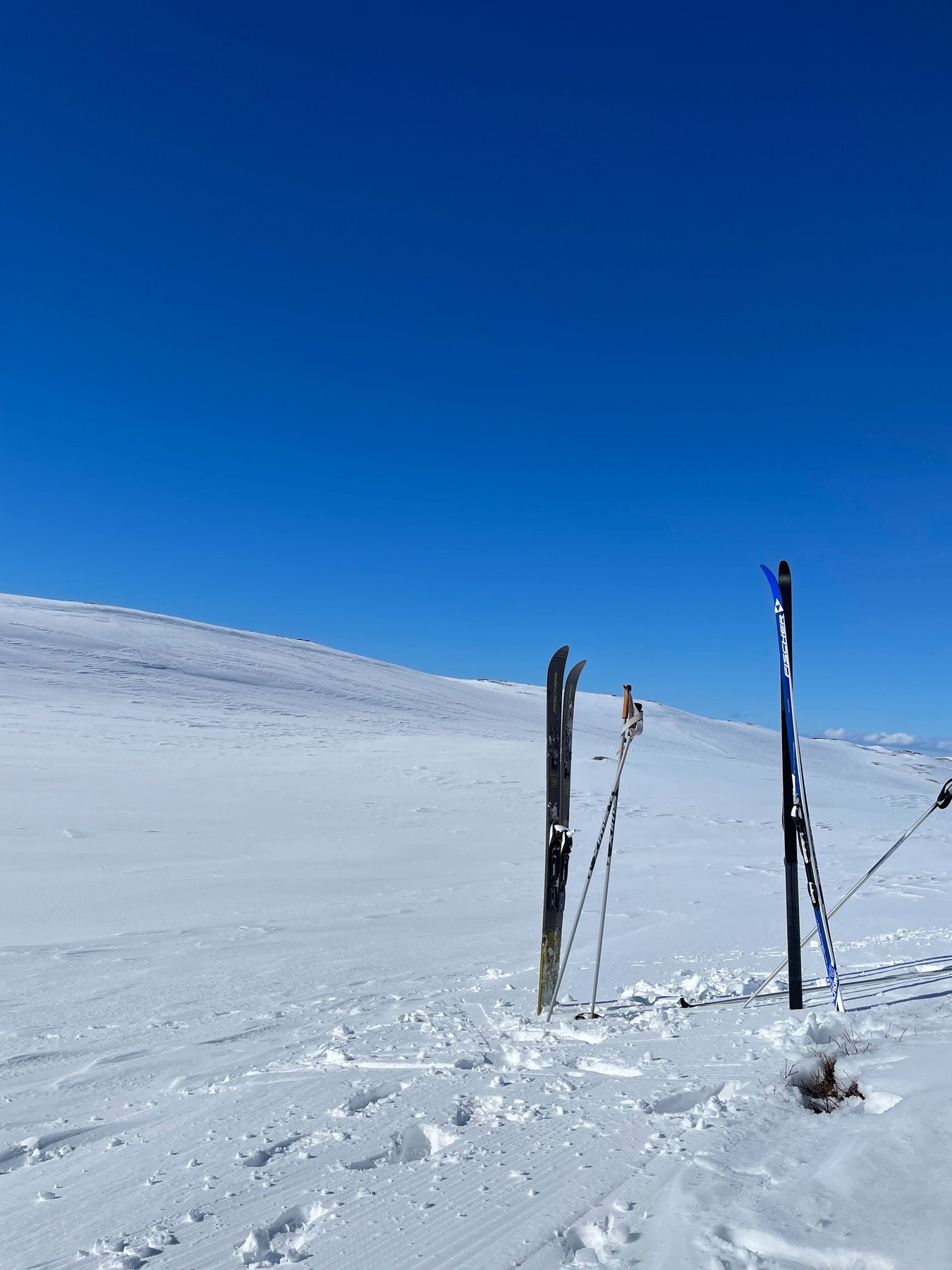 Selgers egne bilder fra turer i fjellet. Galleribilde