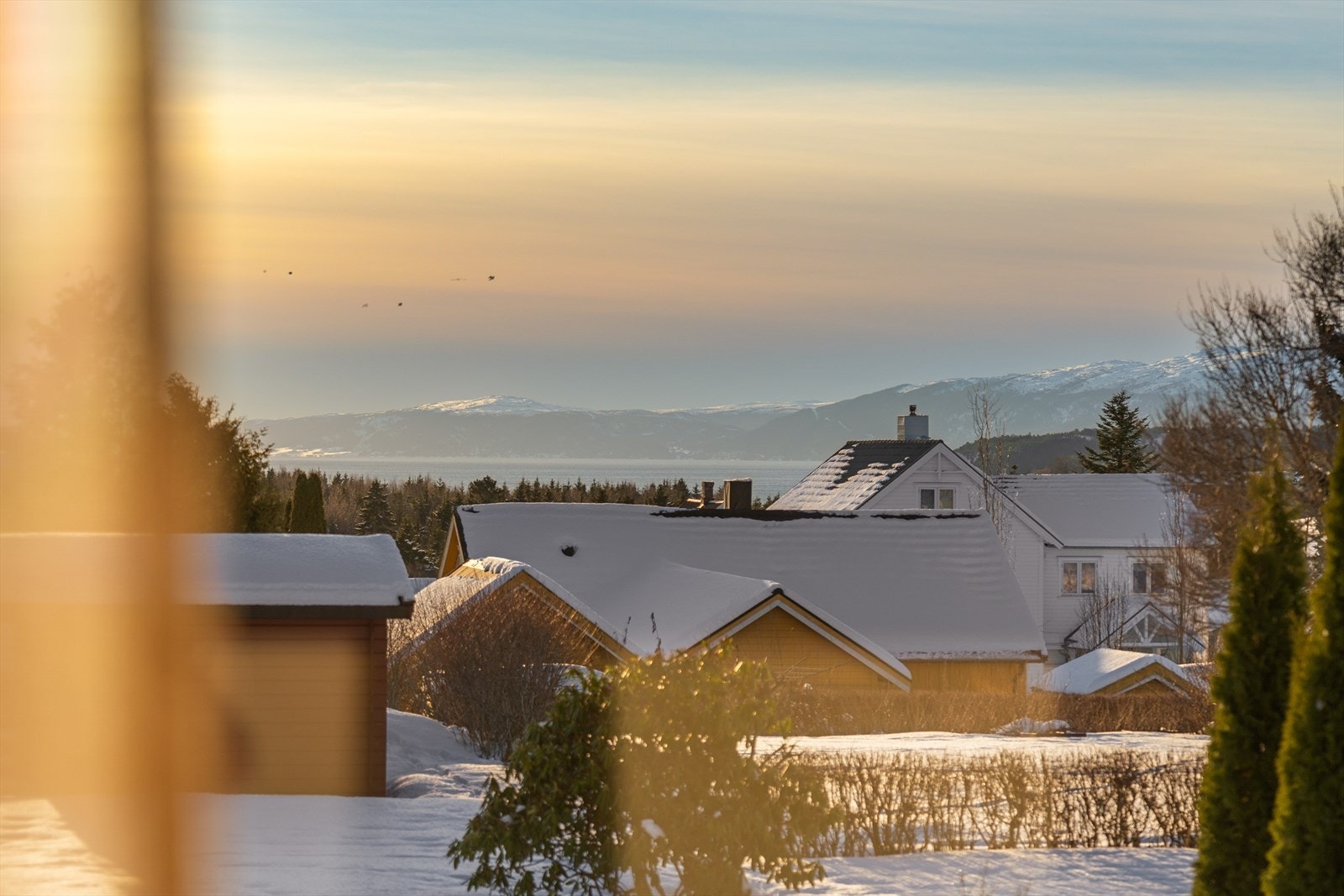 Flott utsikt mot Beitstadfjorden og Verrafjella Galleribilde