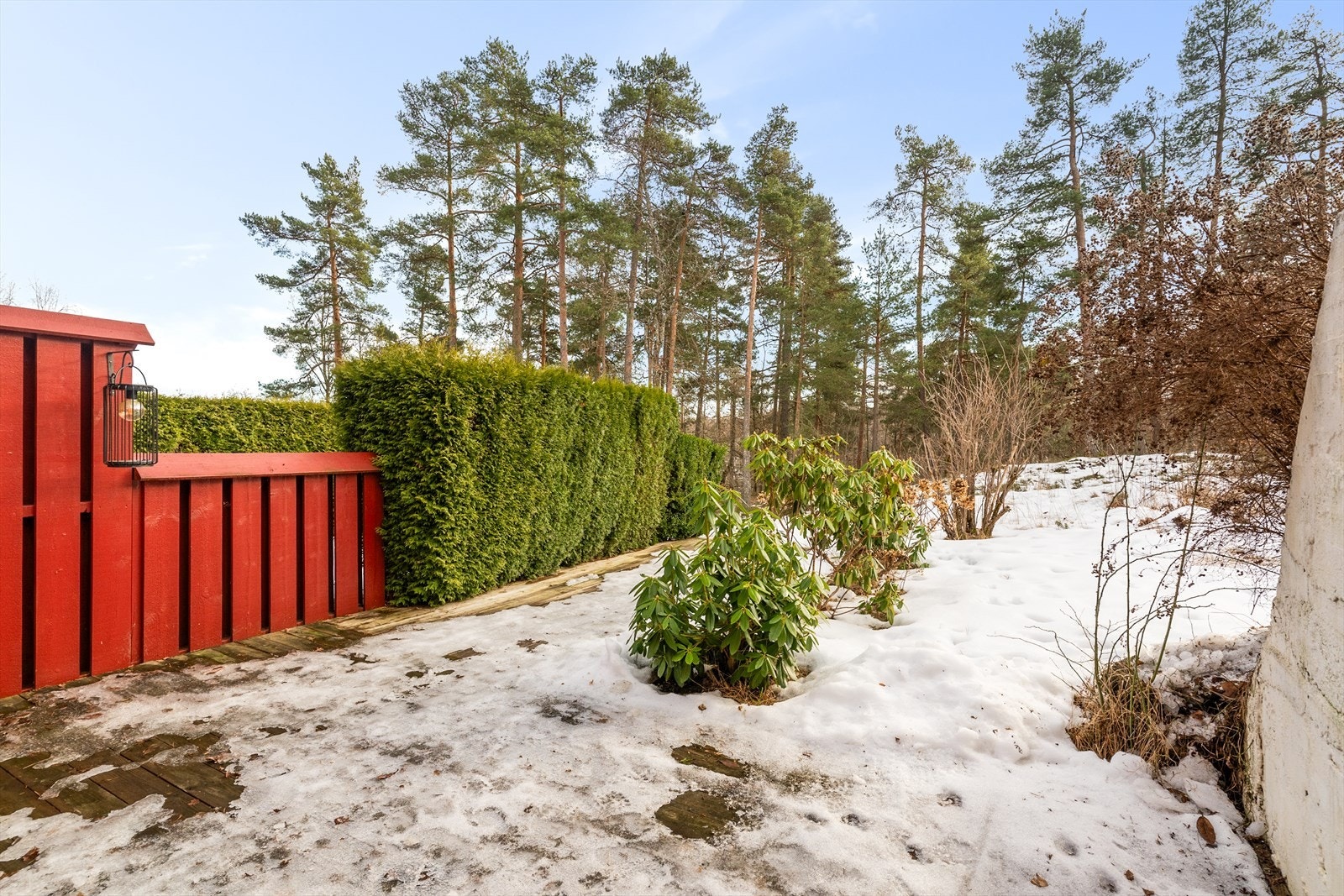 Sydvendt og lun terrasse med gode solforhold og uten innsyn - flott beliggenhet i skogkanten Galleribilde