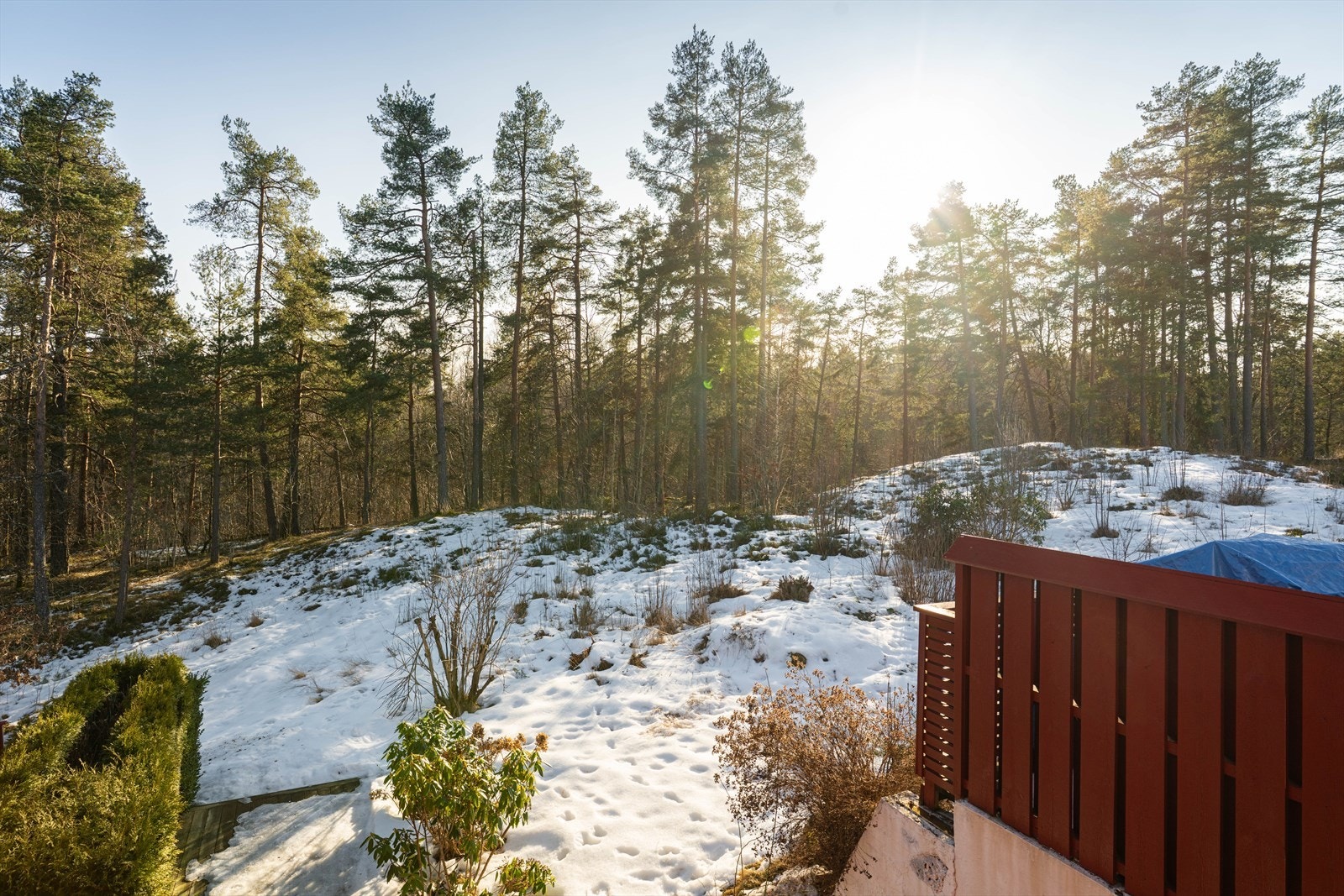 Flott beliggenhet hvor terrassen og hagen grenser ut mot skogen Galleribilde