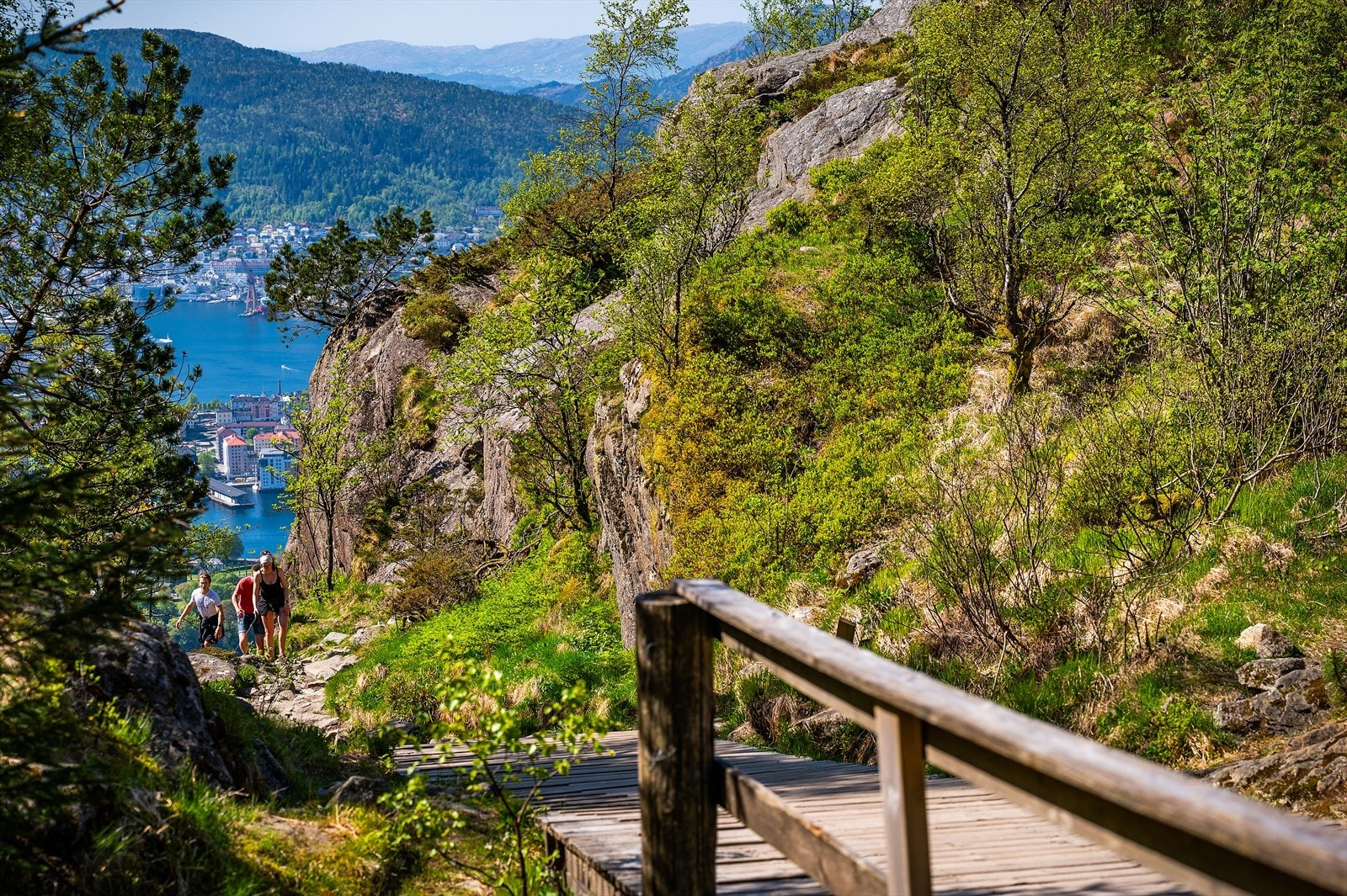 - Fra leiligheten er det kort vei til flere turmuligheter, blant annet Stoltzen - Galleribilde
