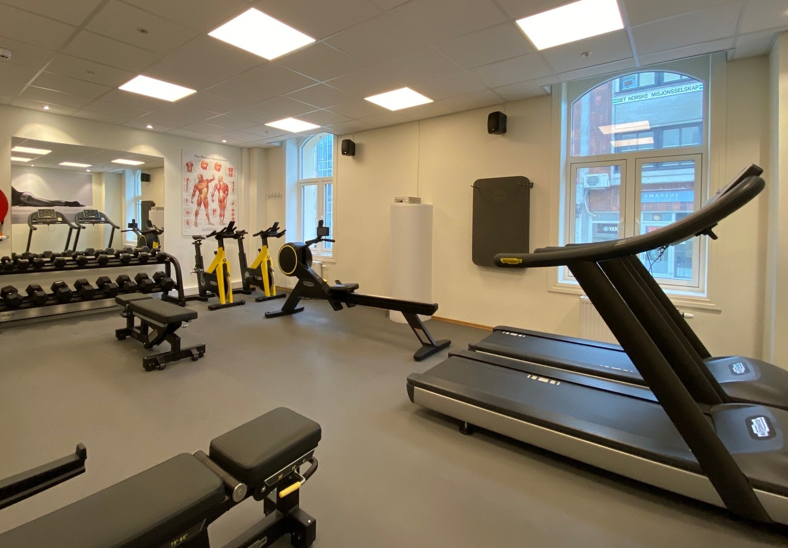 Fellesrom: Trimrom Galleribilde