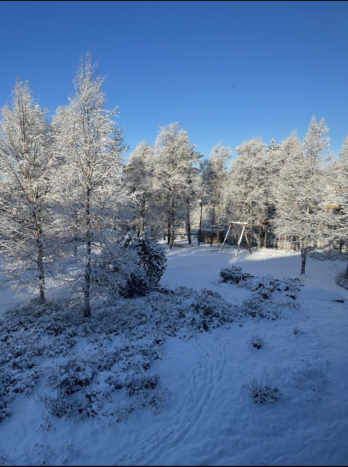 Nabolaget på vinterstid. Galleribilde
