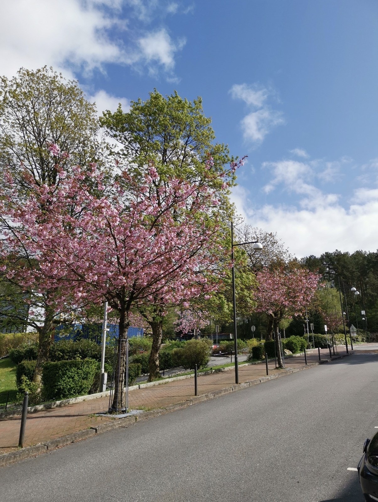 De pent opparbeidede fellesarealene og gangveiene bidrar til en innbydende atmosfære for både store og små. Galleribilde