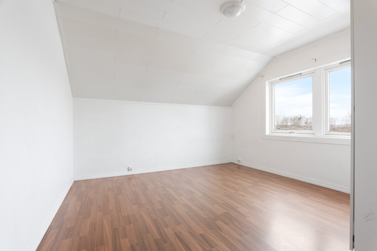 Export-2 Galleribilde
