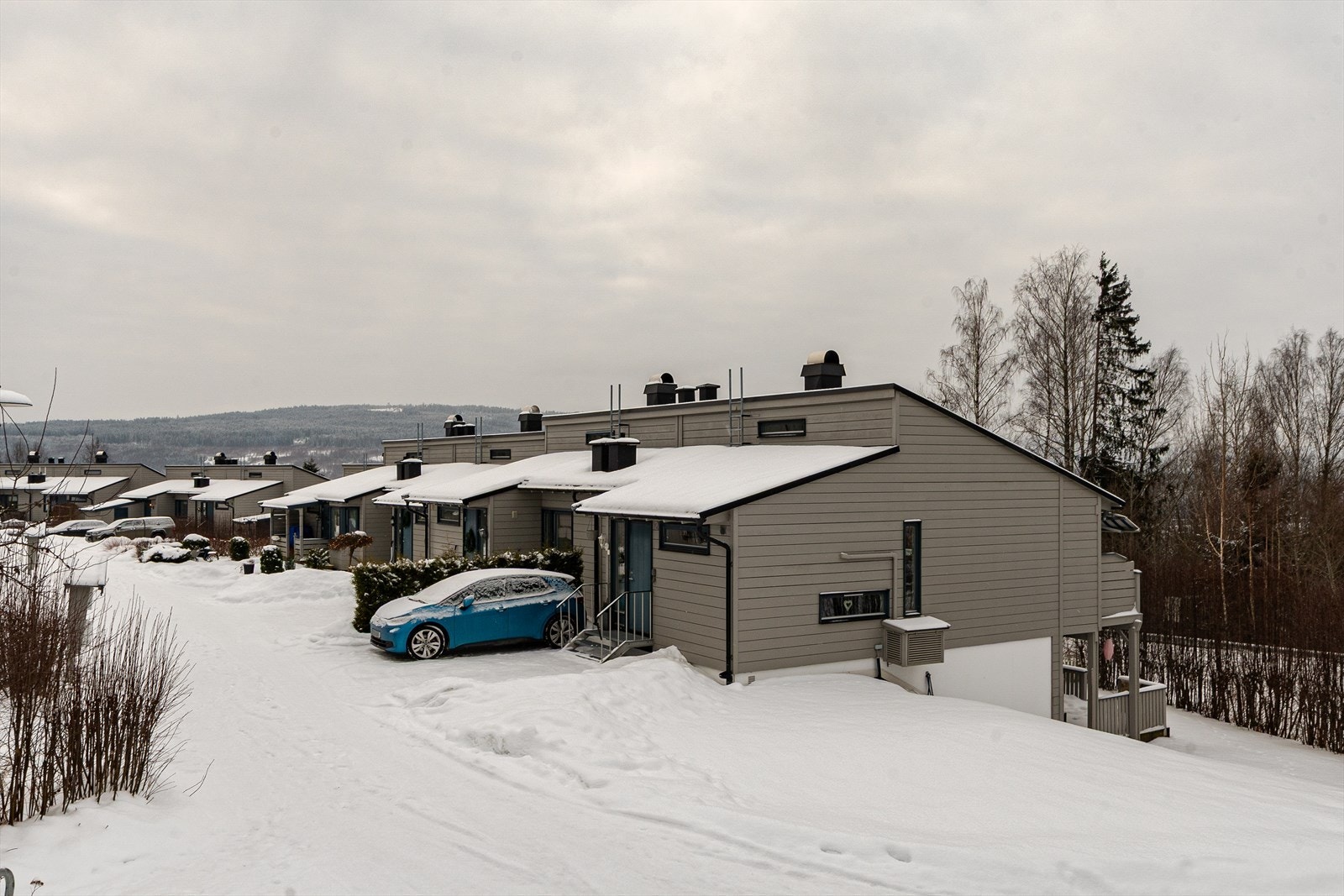 Alvevegen Galleribilde