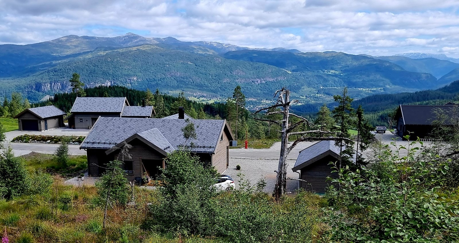 Velkommen til visning! Galleribilde