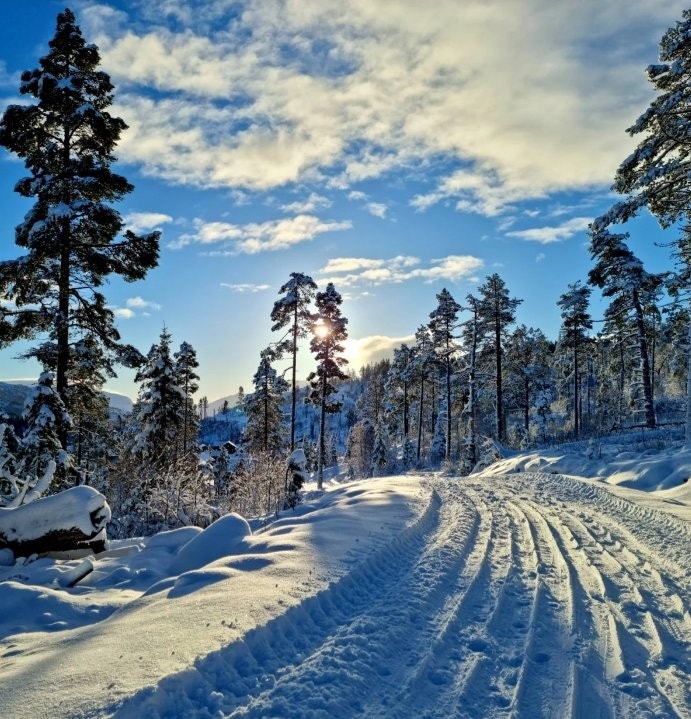 Vakkert vinterlandskap i løypen Galleribilde