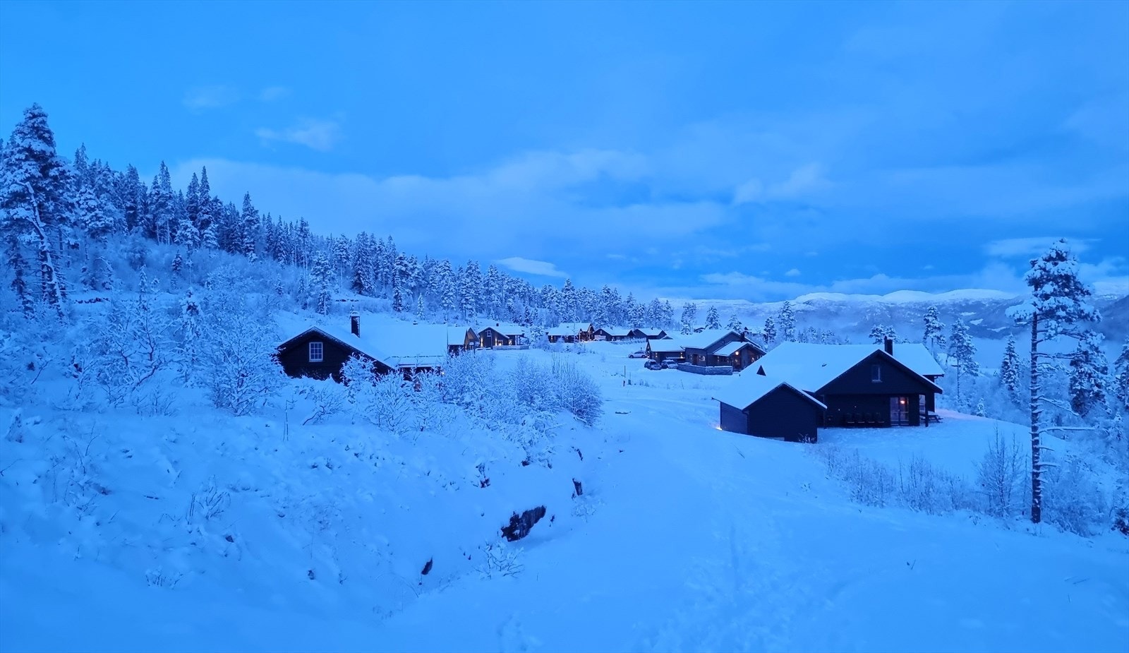 Flott vinterstemning i Vikeshagen! Galleribilde