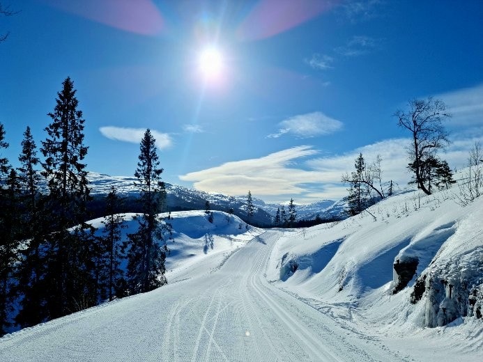 Voss Ski- og Tursenter med både lysløype og lange preparerte skiløyper ligger like nedenfor hytten Galleribilde