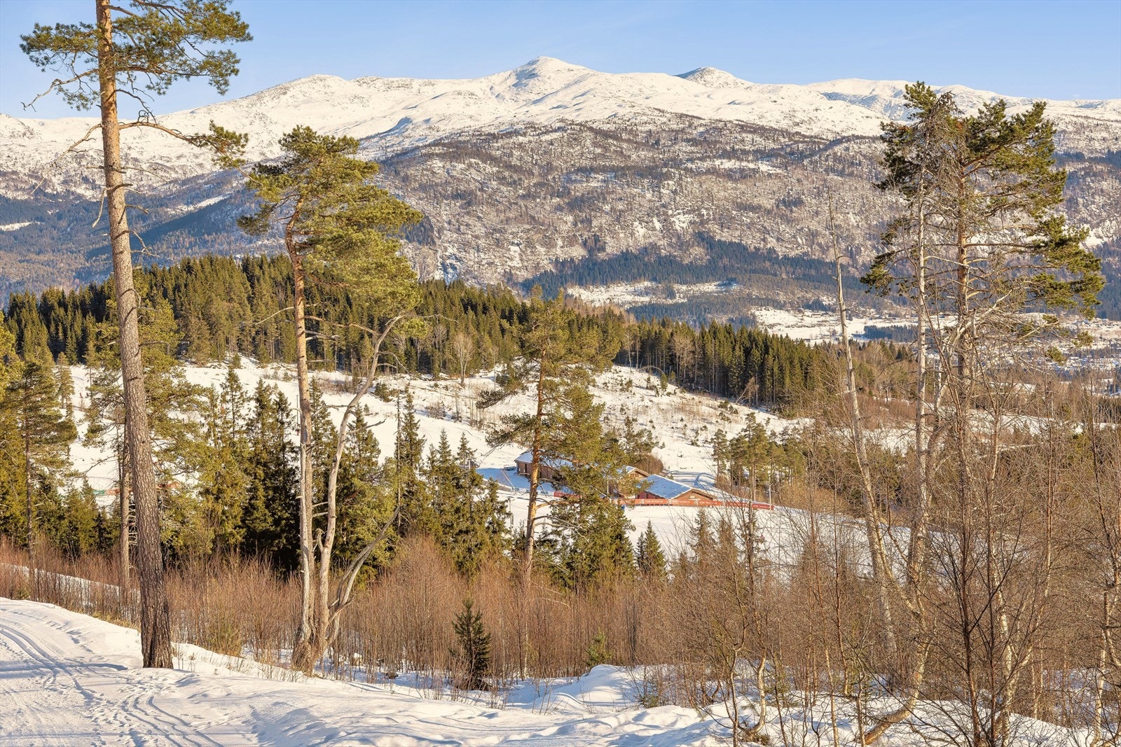 Utsikt ned mot skianlegget Galleribilde