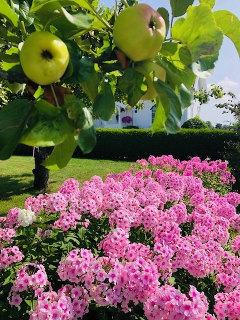 Selgers private bilder Galleribilde