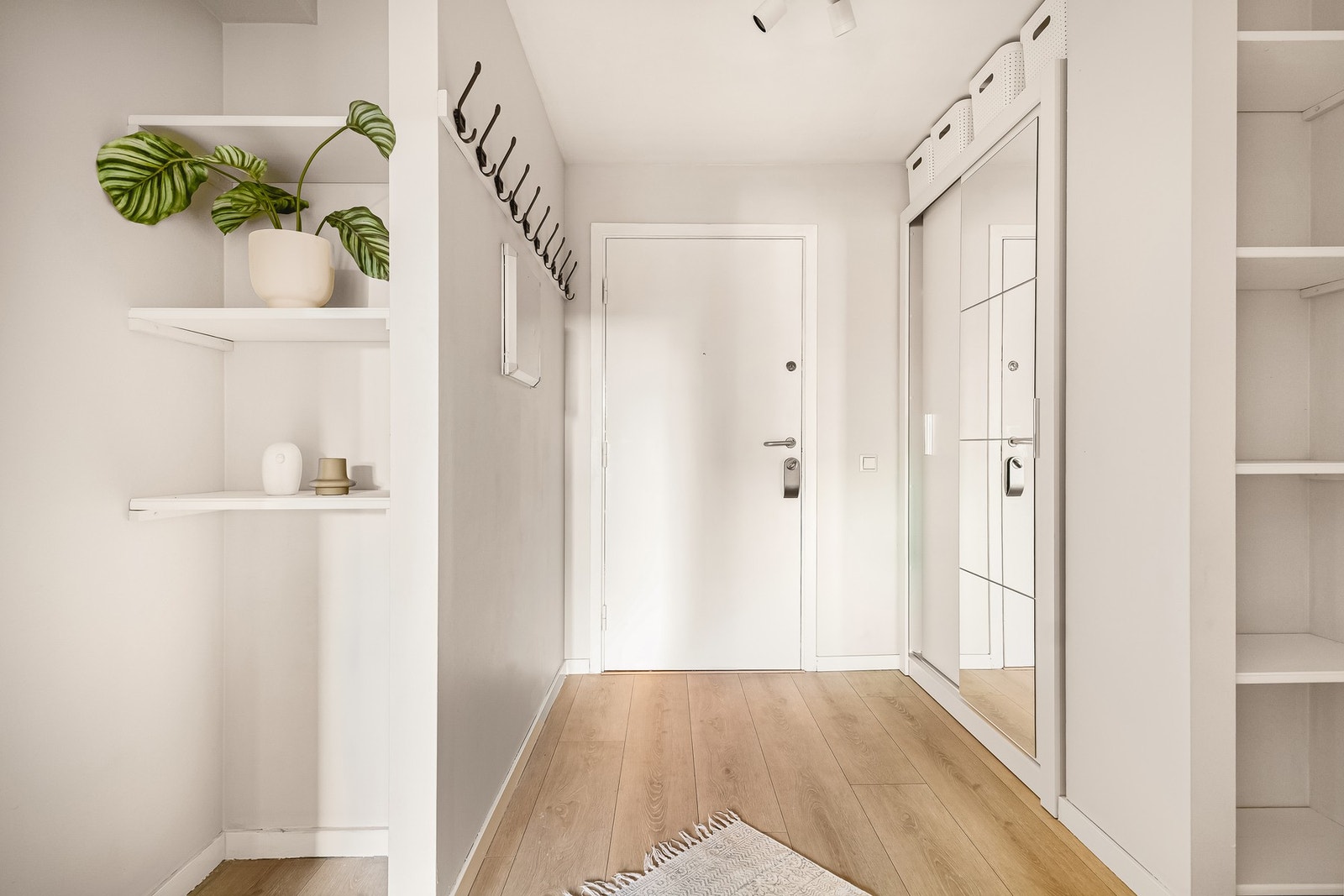 - Nymalt entré på hele 7,5 kvm. Her er det ny skyvedørsgarderobe, knagger og hyller, alt nytt i 2023 - Galleribilde