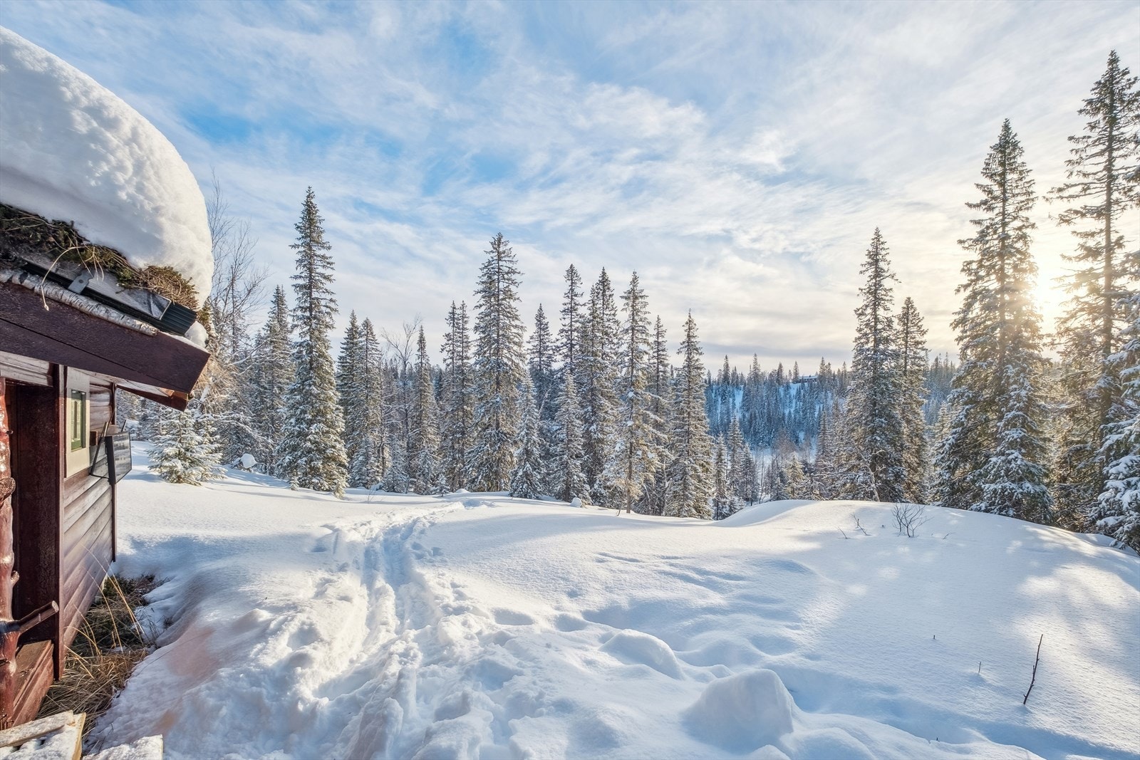 Hytta ligger usjenert til i ytterkant av hyttefeltet inn mot skjækerfjella nasjonalpark. Galleribilde
