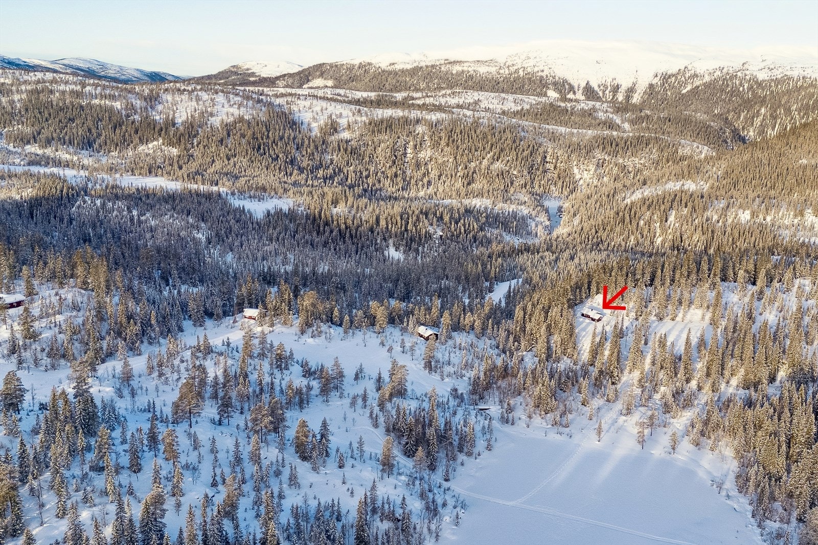 Hytta ligger kun noen meter fra Maritmyrtjønna. Galleribilde