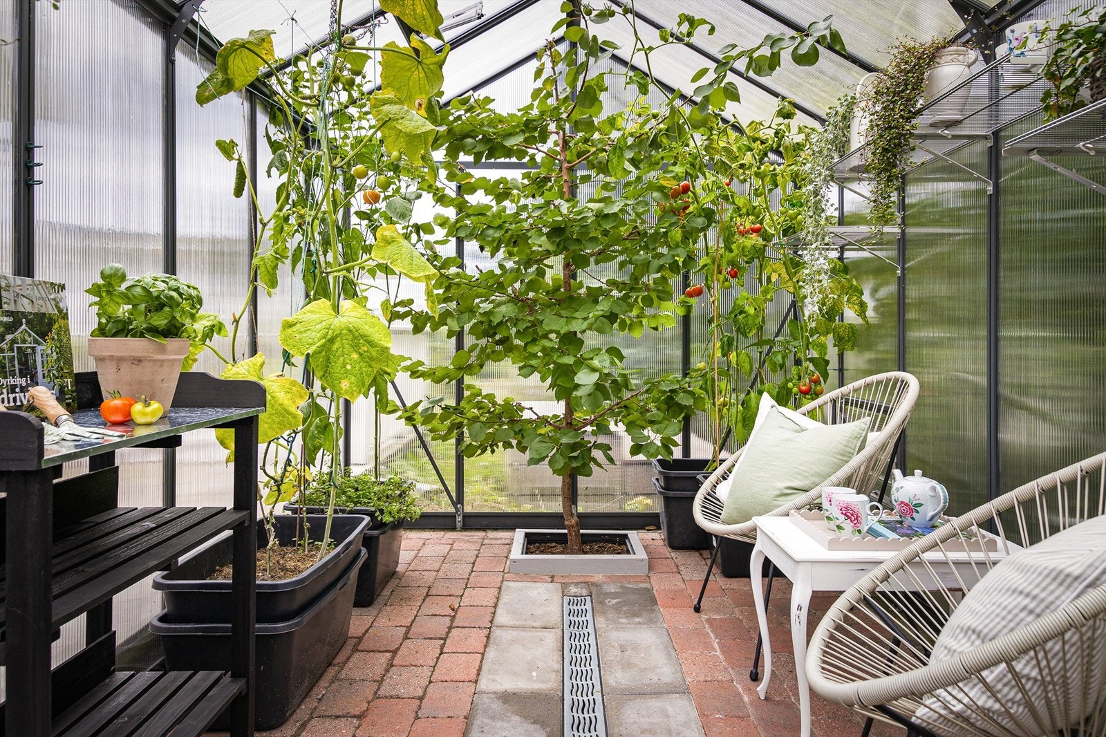 Her kan man dyrke egne grønnsaker, urter og frukt. Galleribilde