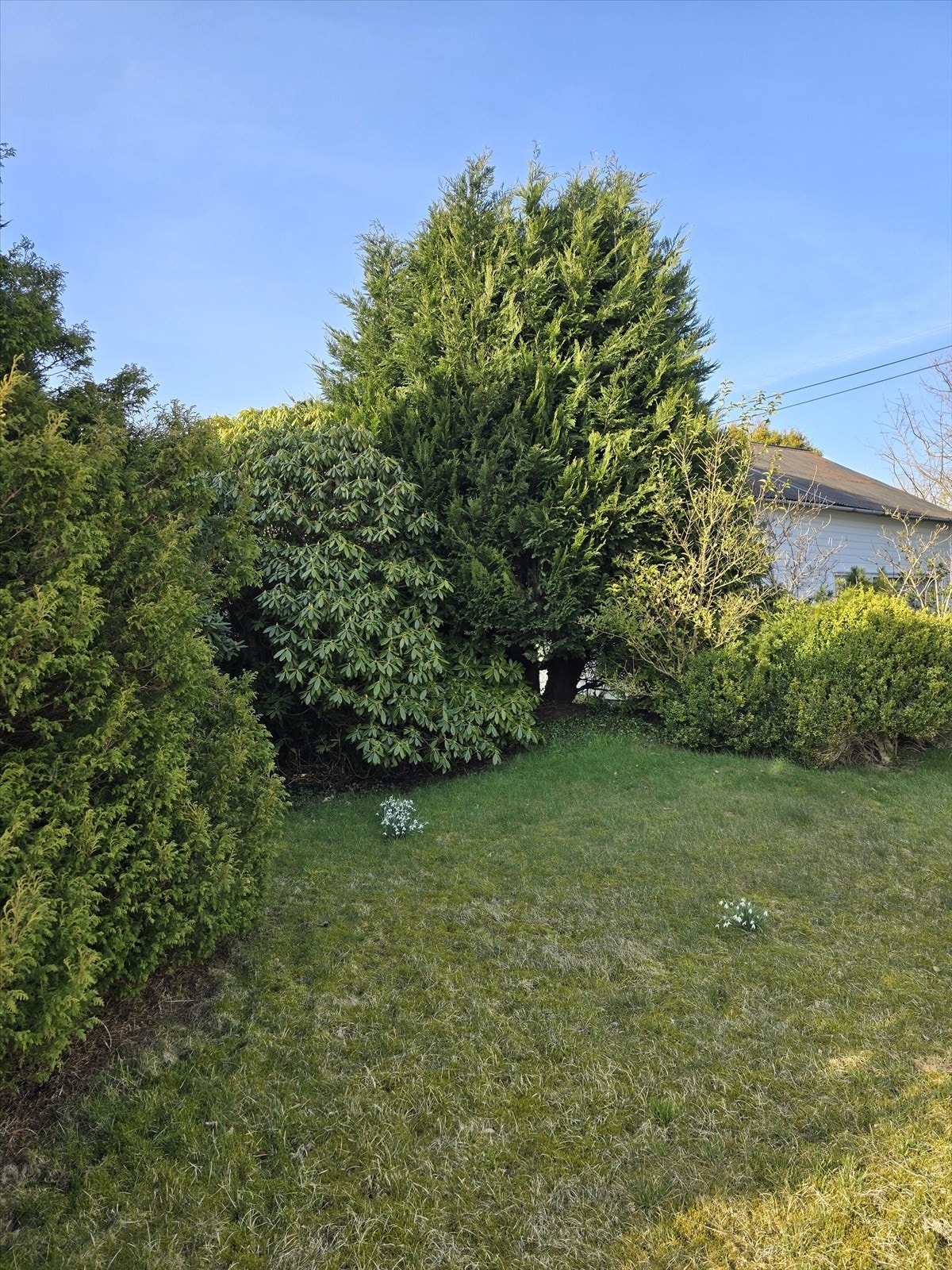 Godt med boltreplass på egen tomt, samt muligheter til å etablere områder for hobbydyrking i pallekarmer etc. Galleribilde