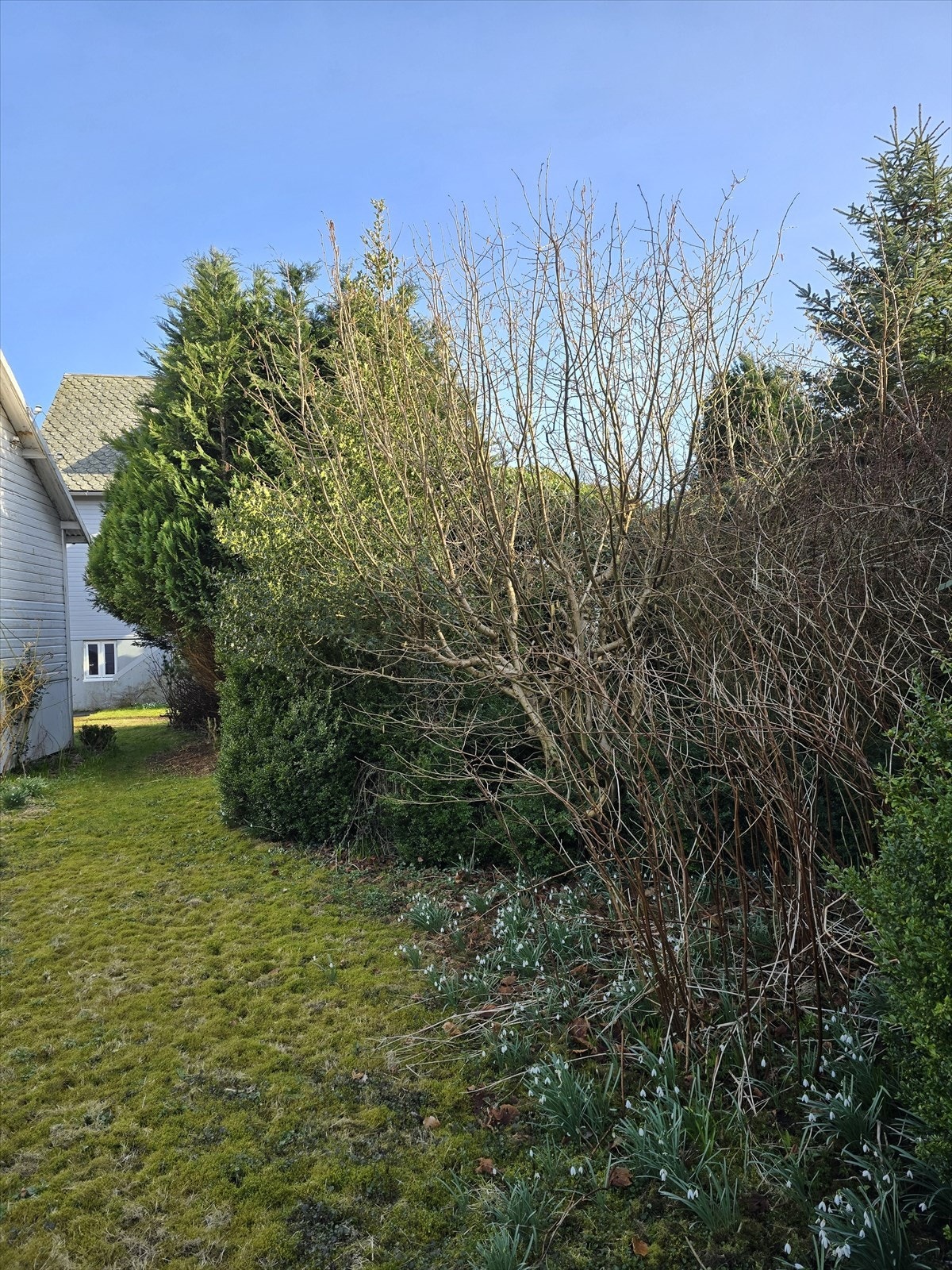 Eiendommen har en spennende hage med mye potensiale for å sette sitt personlige preg. Galleribilde