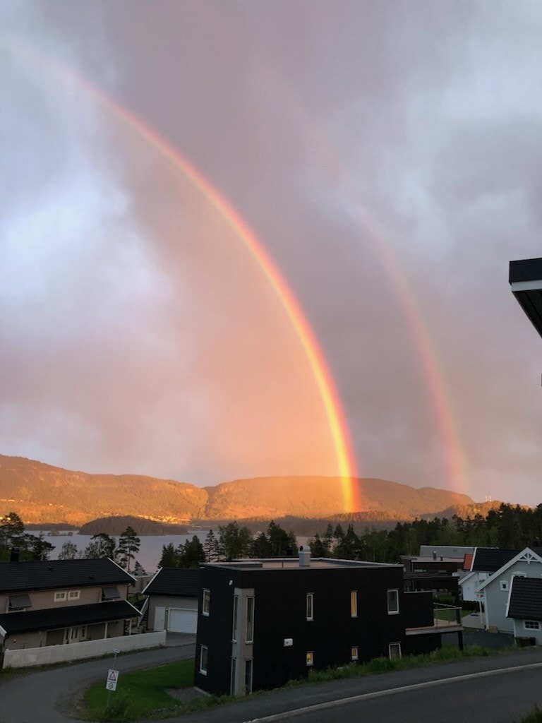 Eiers sommerbilde. Galleribilde