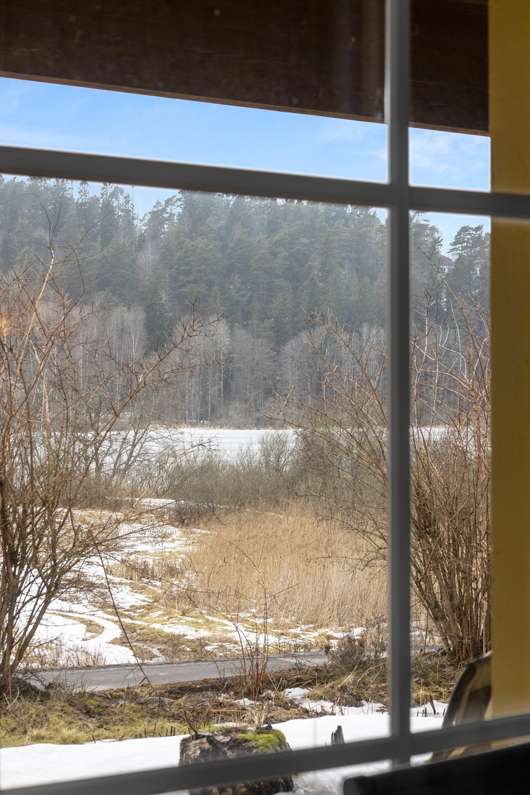 Fra boligen ser man utover rolige og naturskjønne omgivelser. Galleribilde