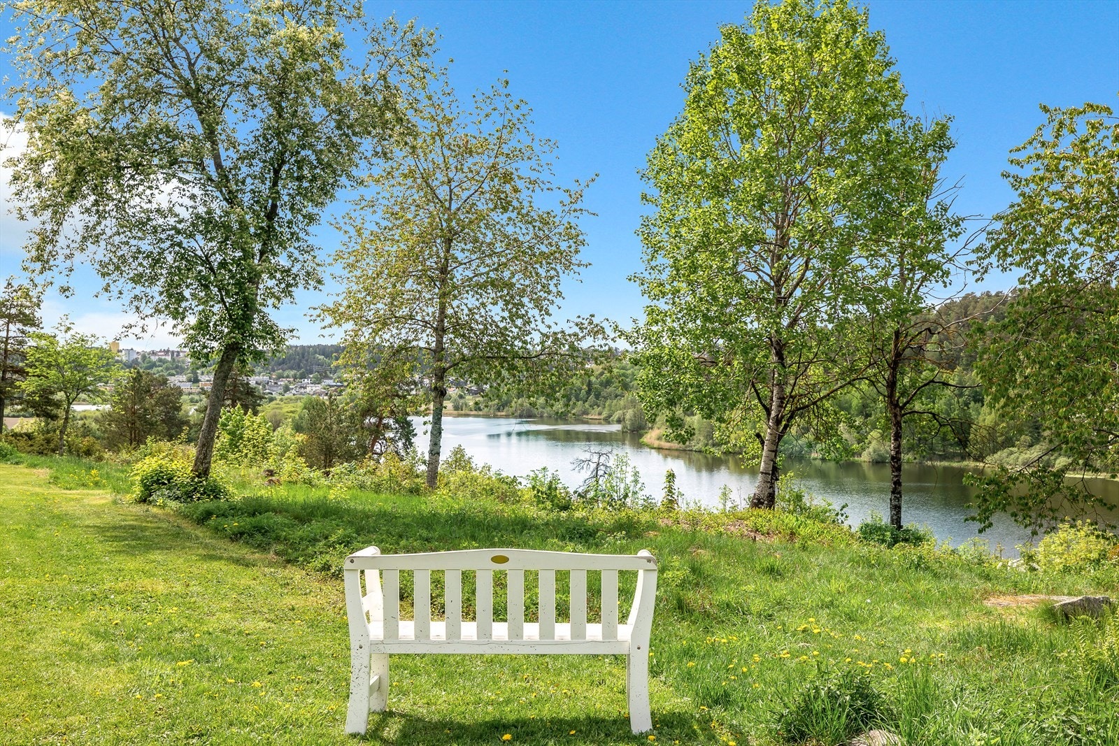 Almedalen. Galleribilde