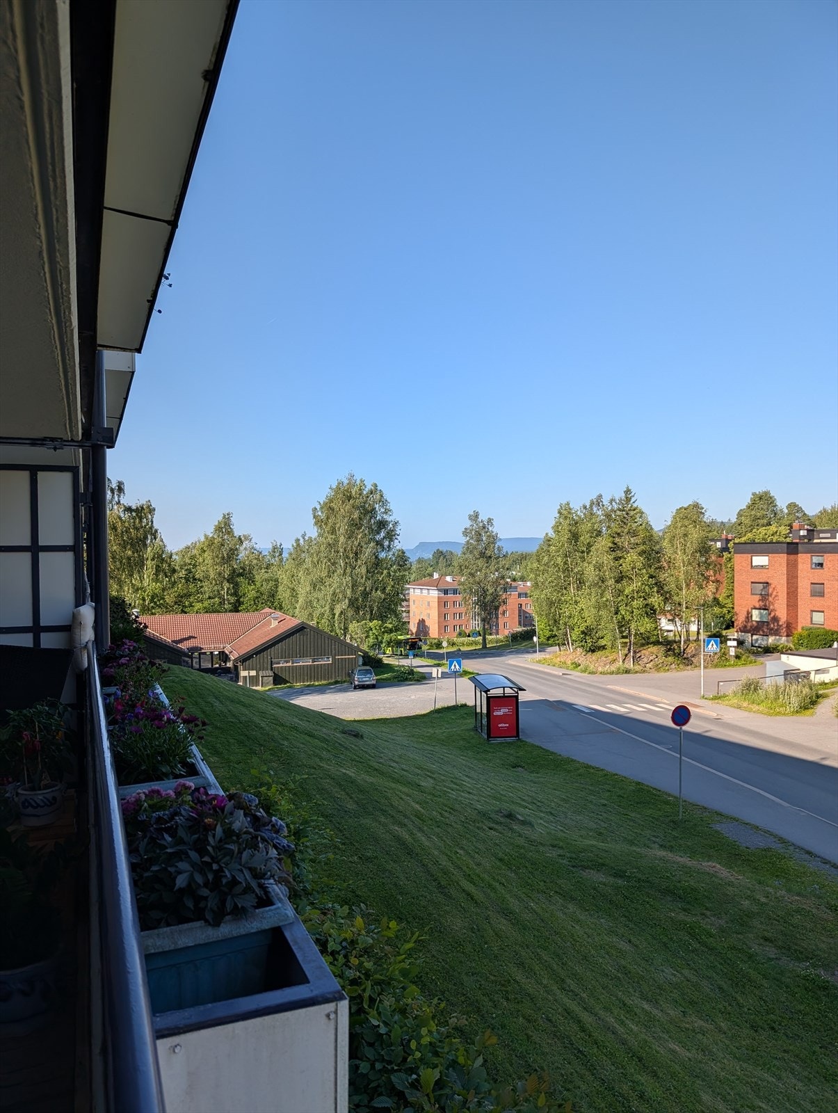 Privat bilde: Utsyn på sommeren Galleribilde