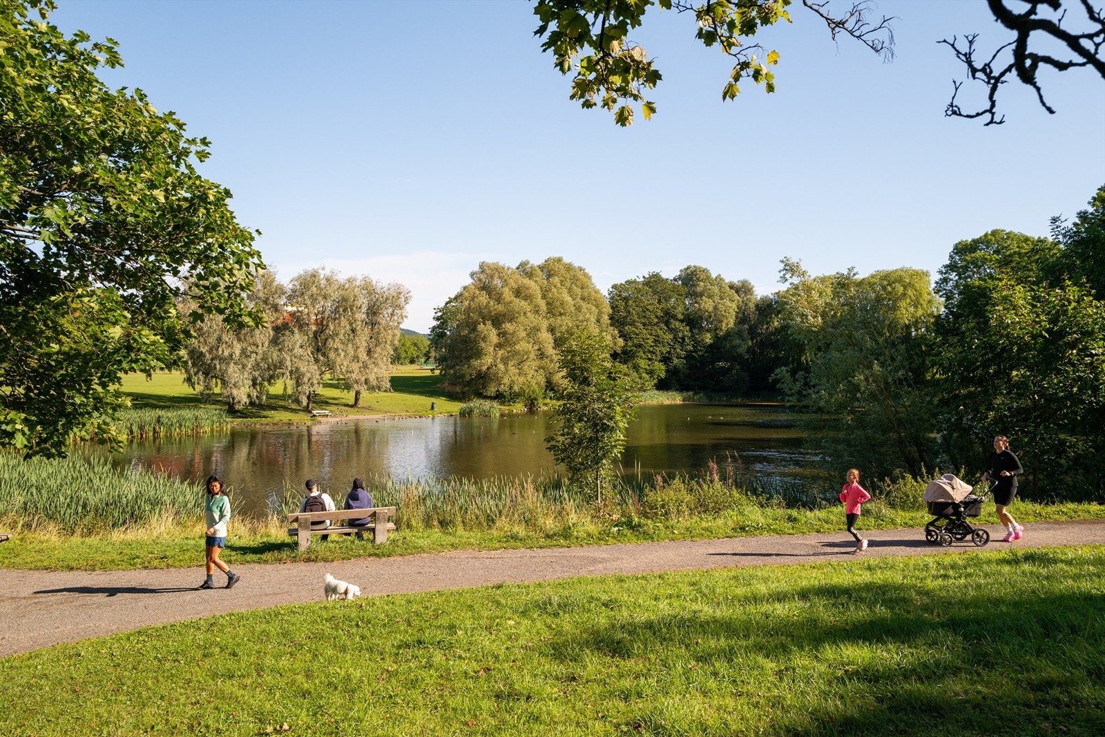 Store grønne lunger omkranser Valle, perfekt for rekreasjon og fritidsaktiviteter. Galleribilde